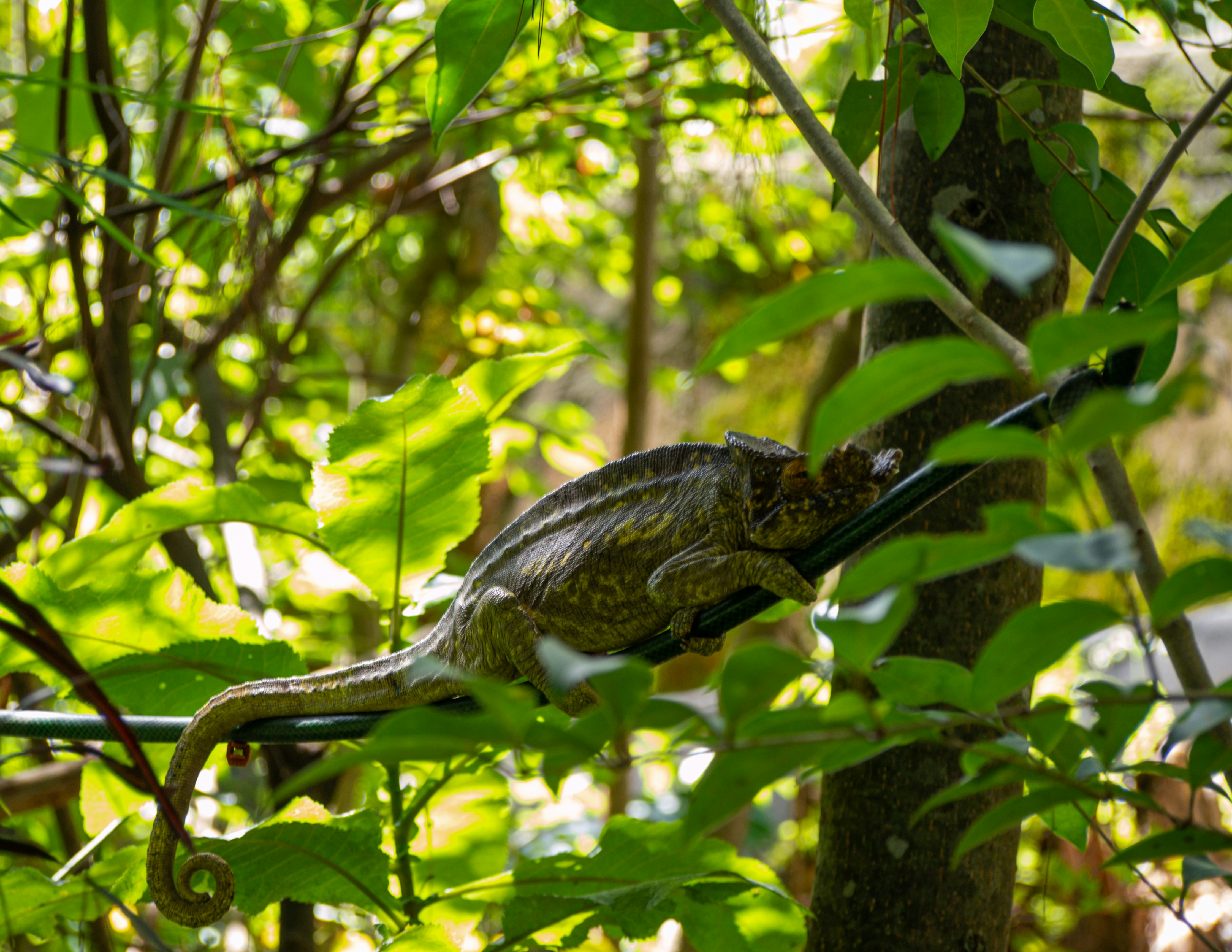 Photo by alekseyryan