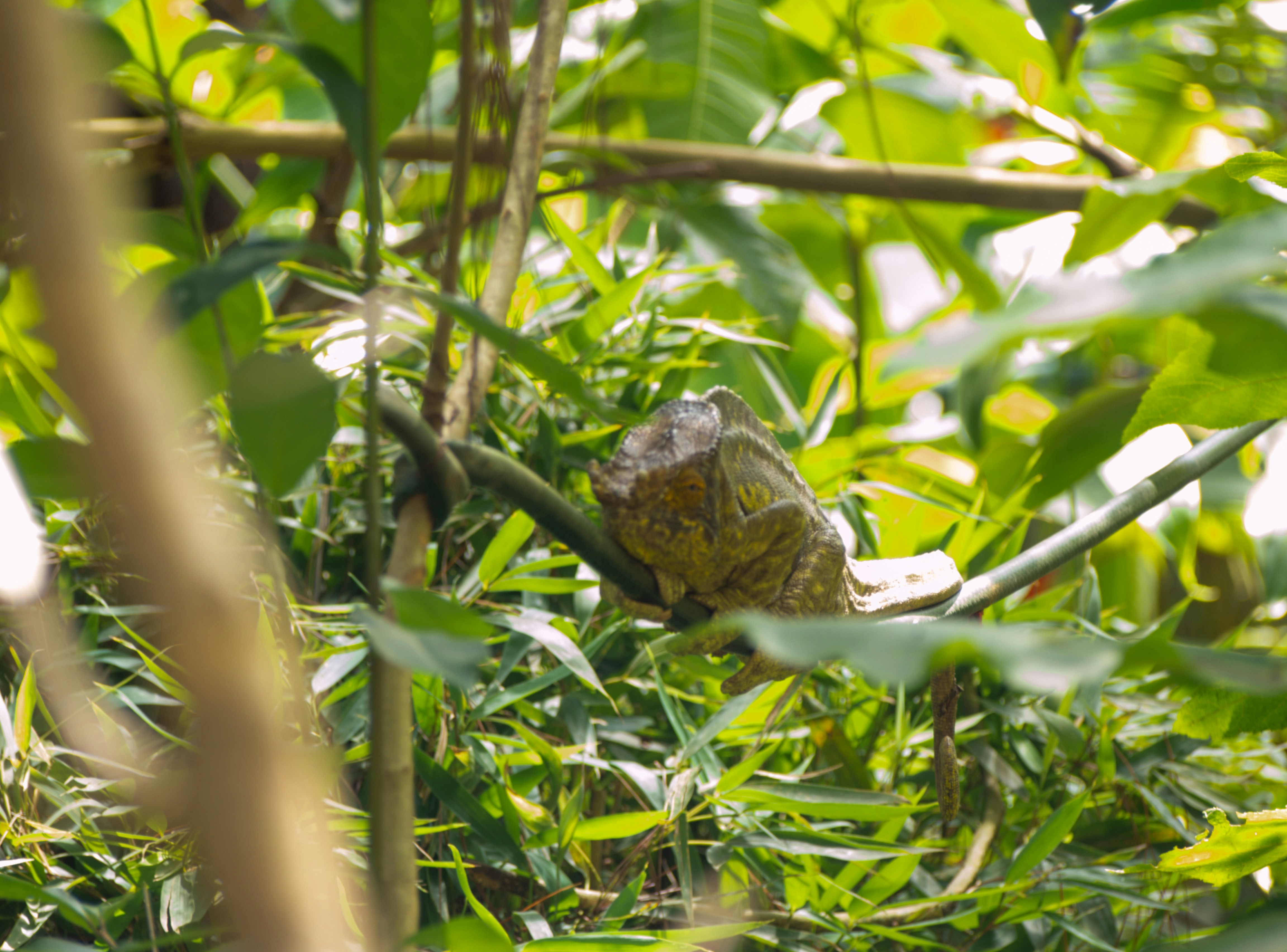 Photo by alekseyryan