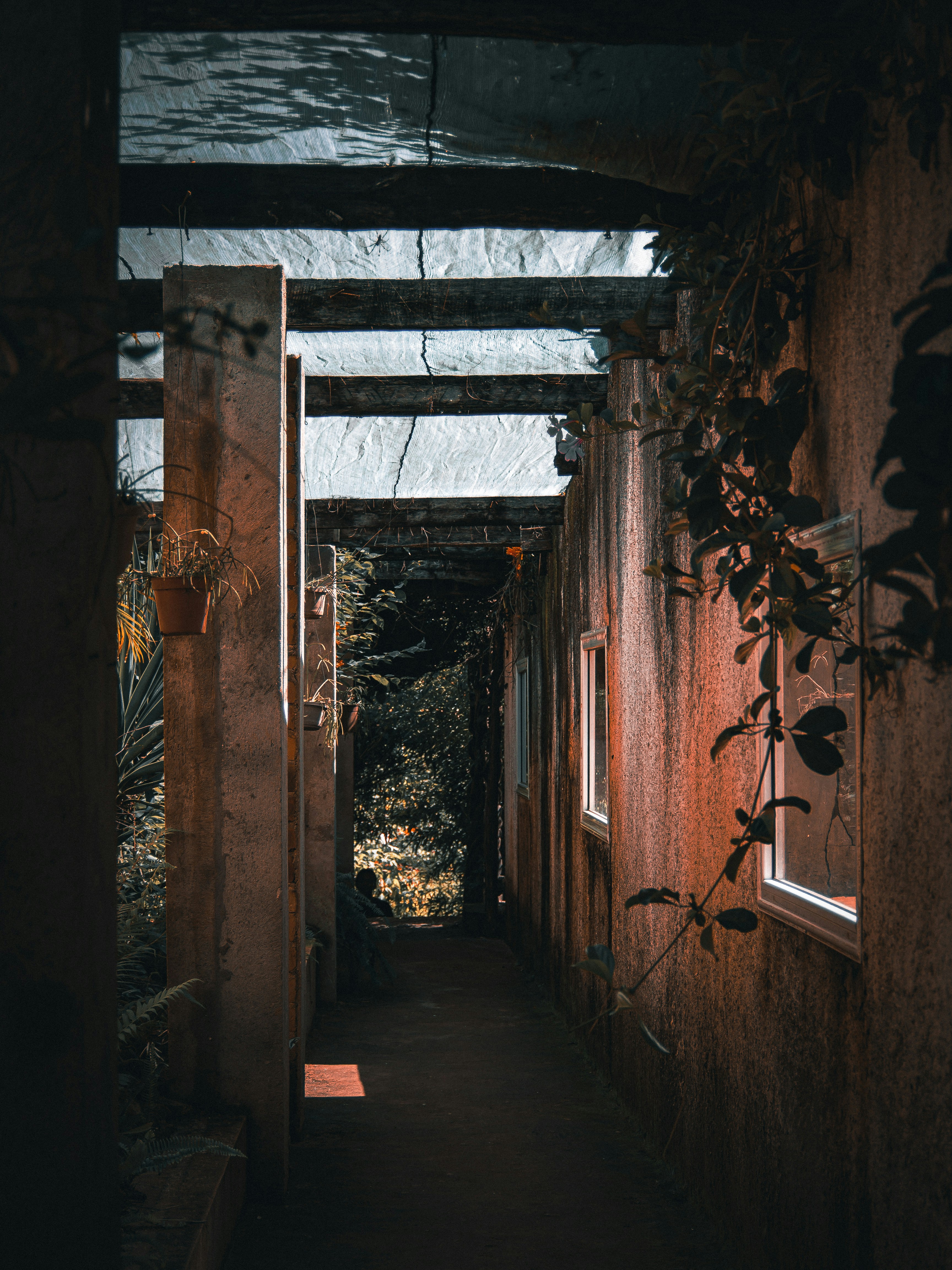 Photo by alekseyryan