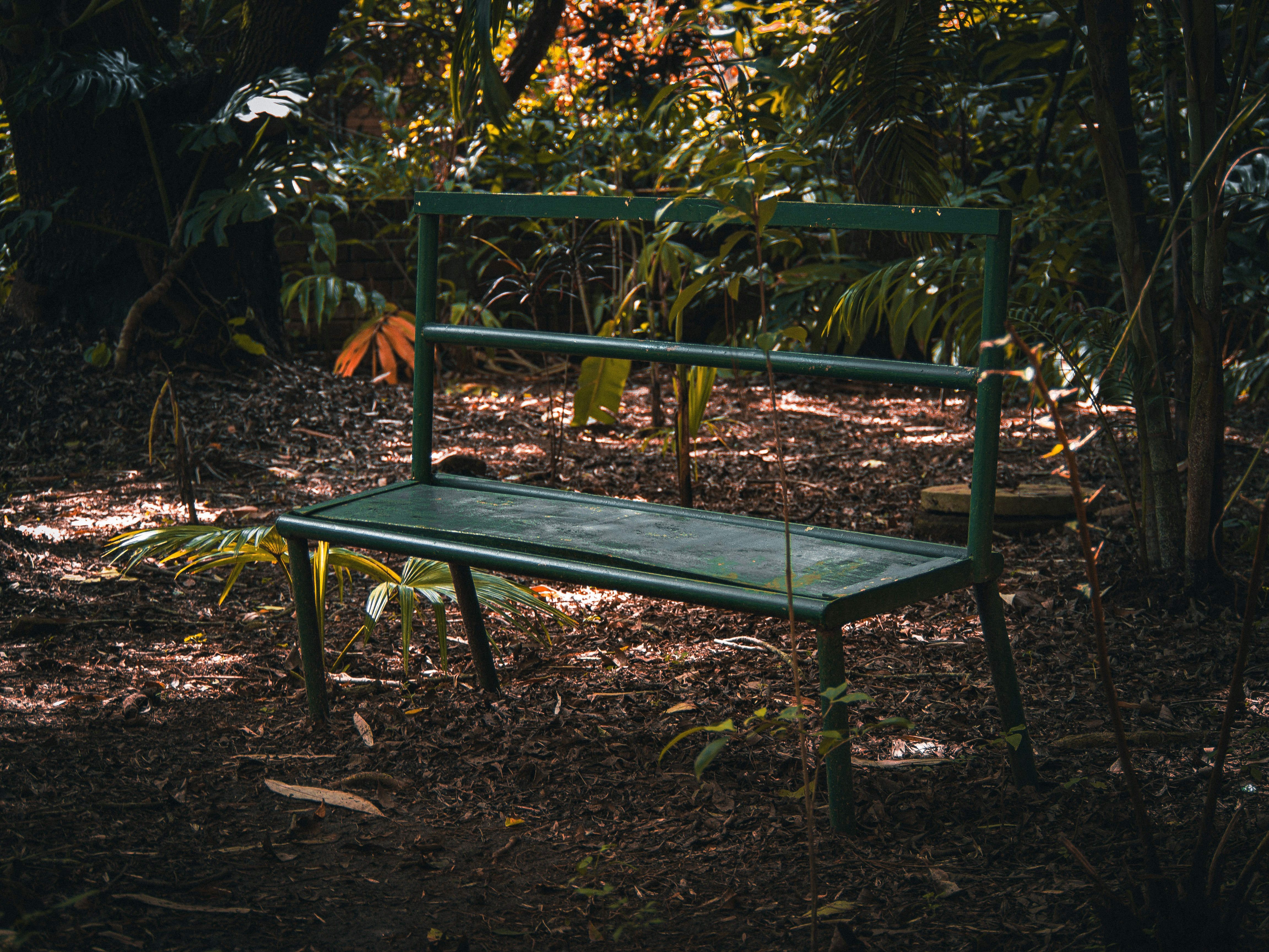 Photo by alekseyryan