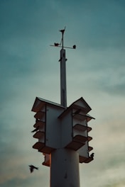 A tall birdhouse structure with multiple compartments stands against a dim sky. Several birds are perched on the structure, with one in flight nearby.