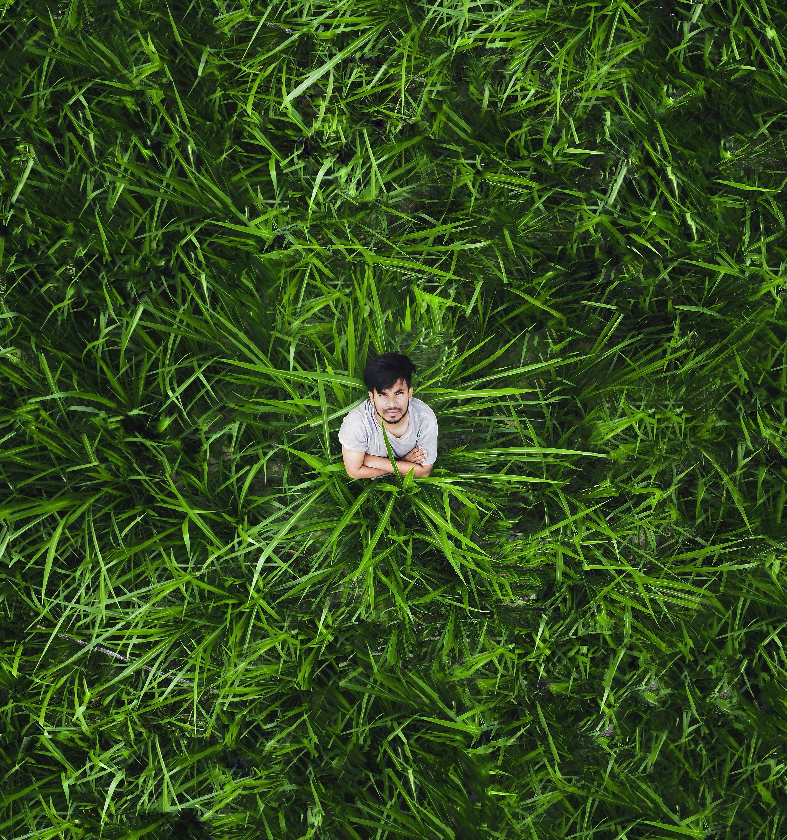 A man standing in a field of tall grass photo – Free Grass Image on ...