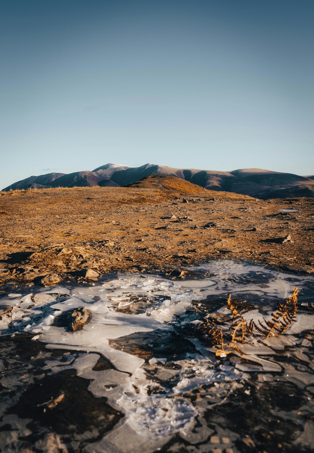 a small patch of land with a mountain in the background