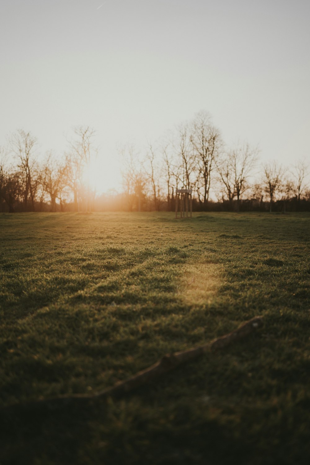 a grassy field with trees in the background