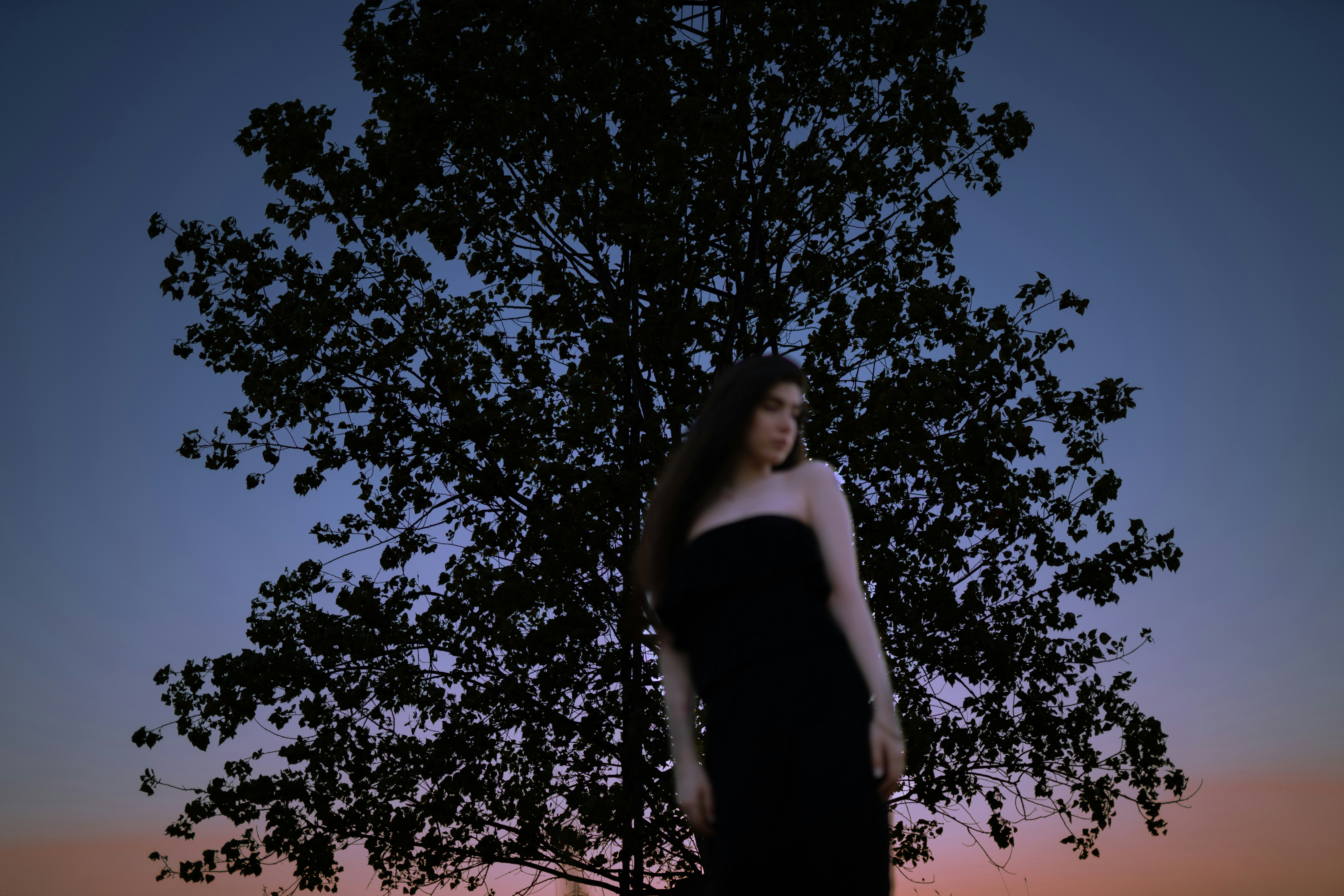 Photo by amirarsalann