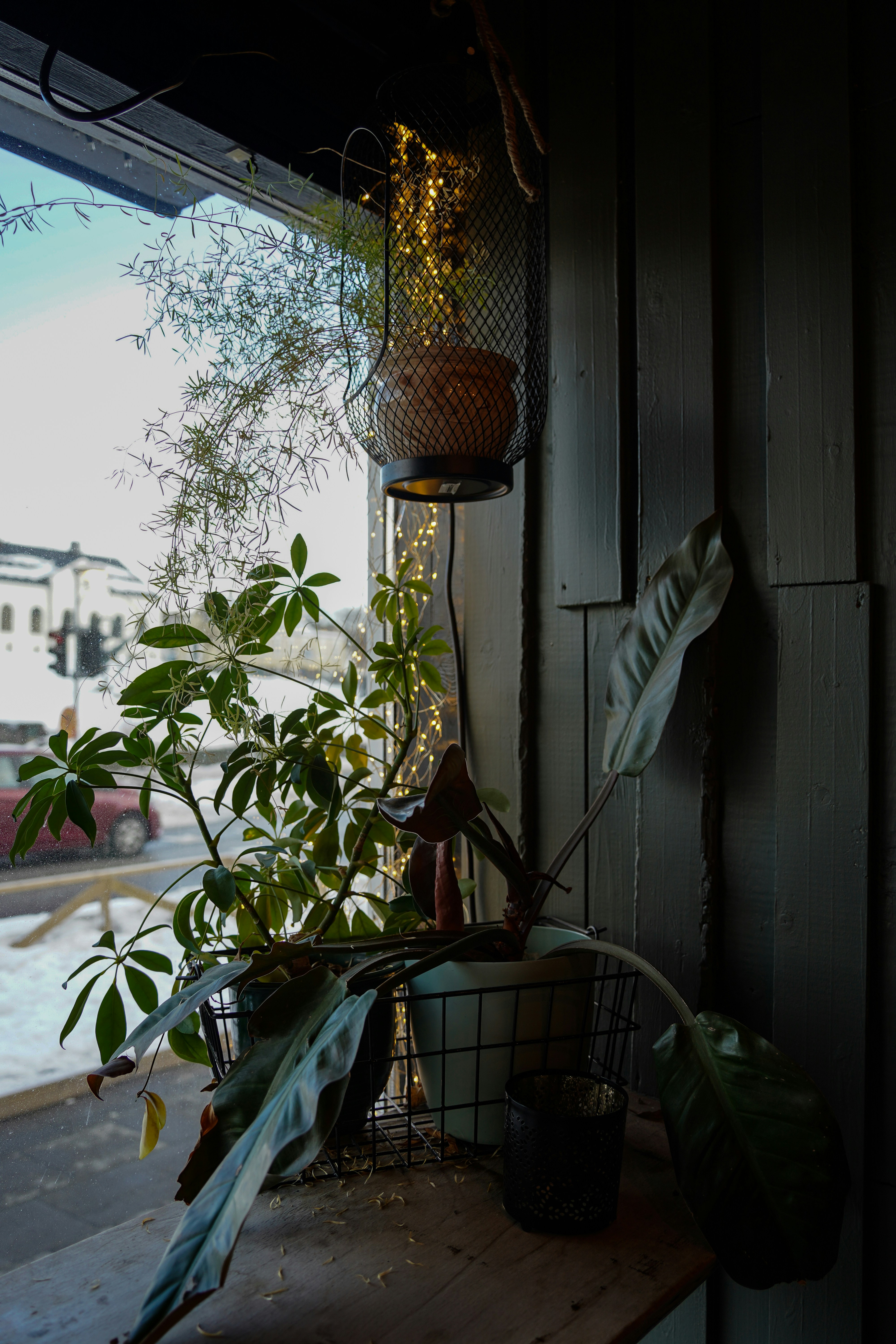 a potted plant sitting on top of a wooden table