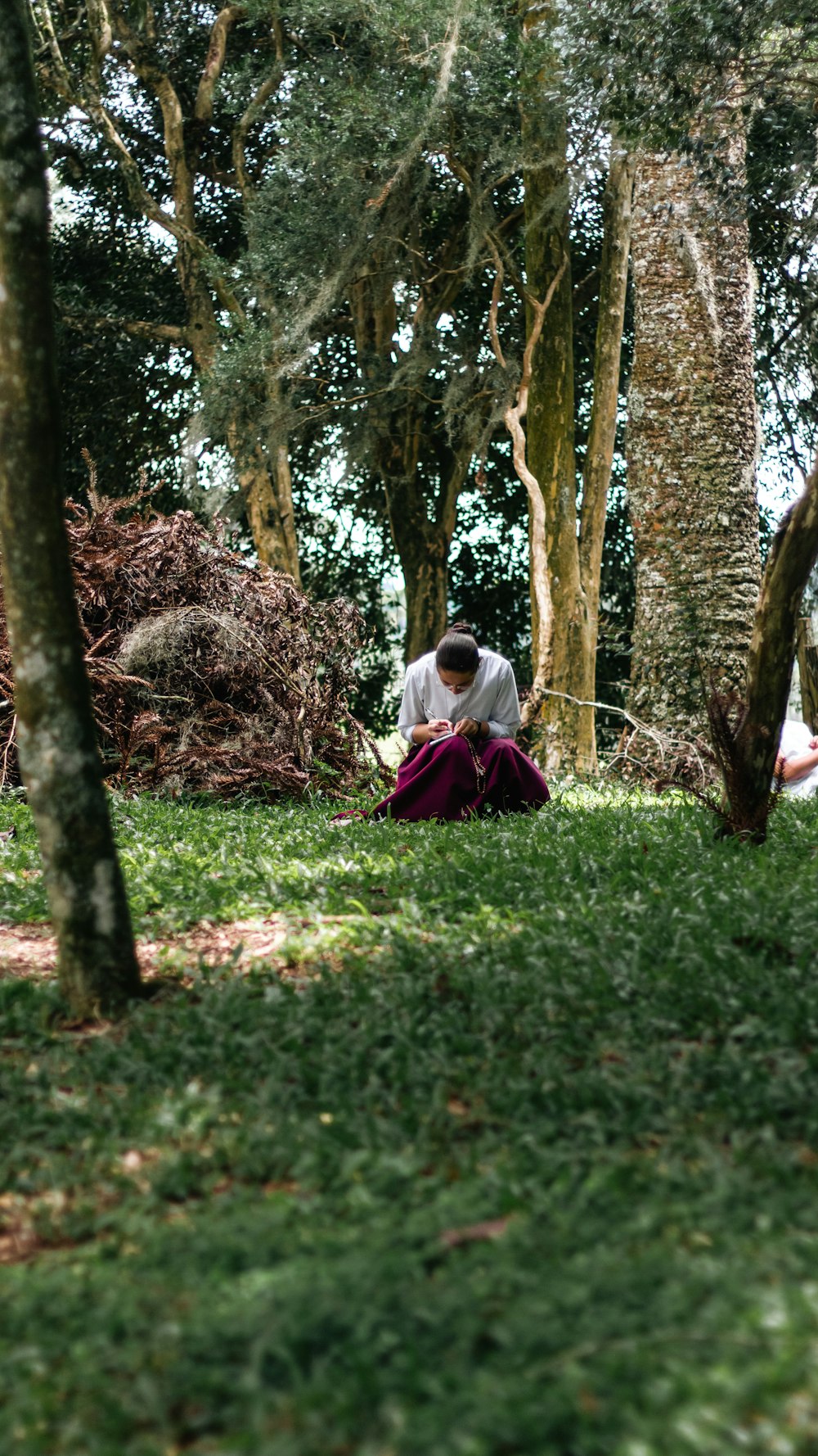 a person sitting on the ground in a forest