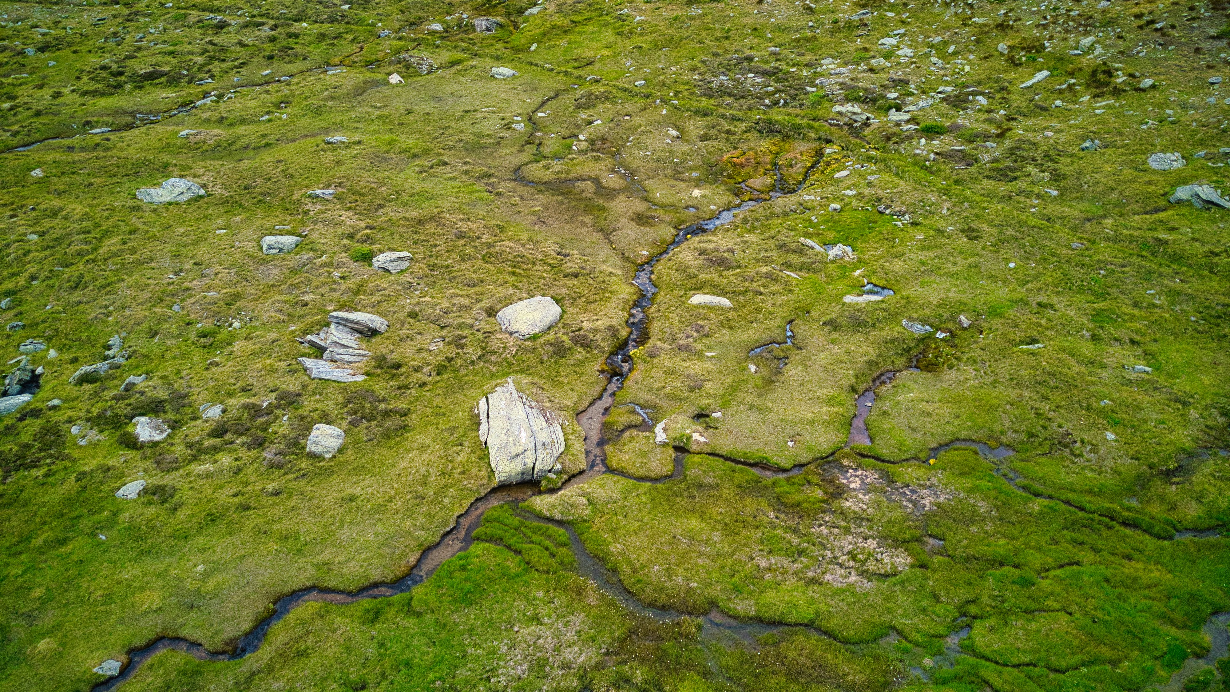 Photo by misterjackdaniel