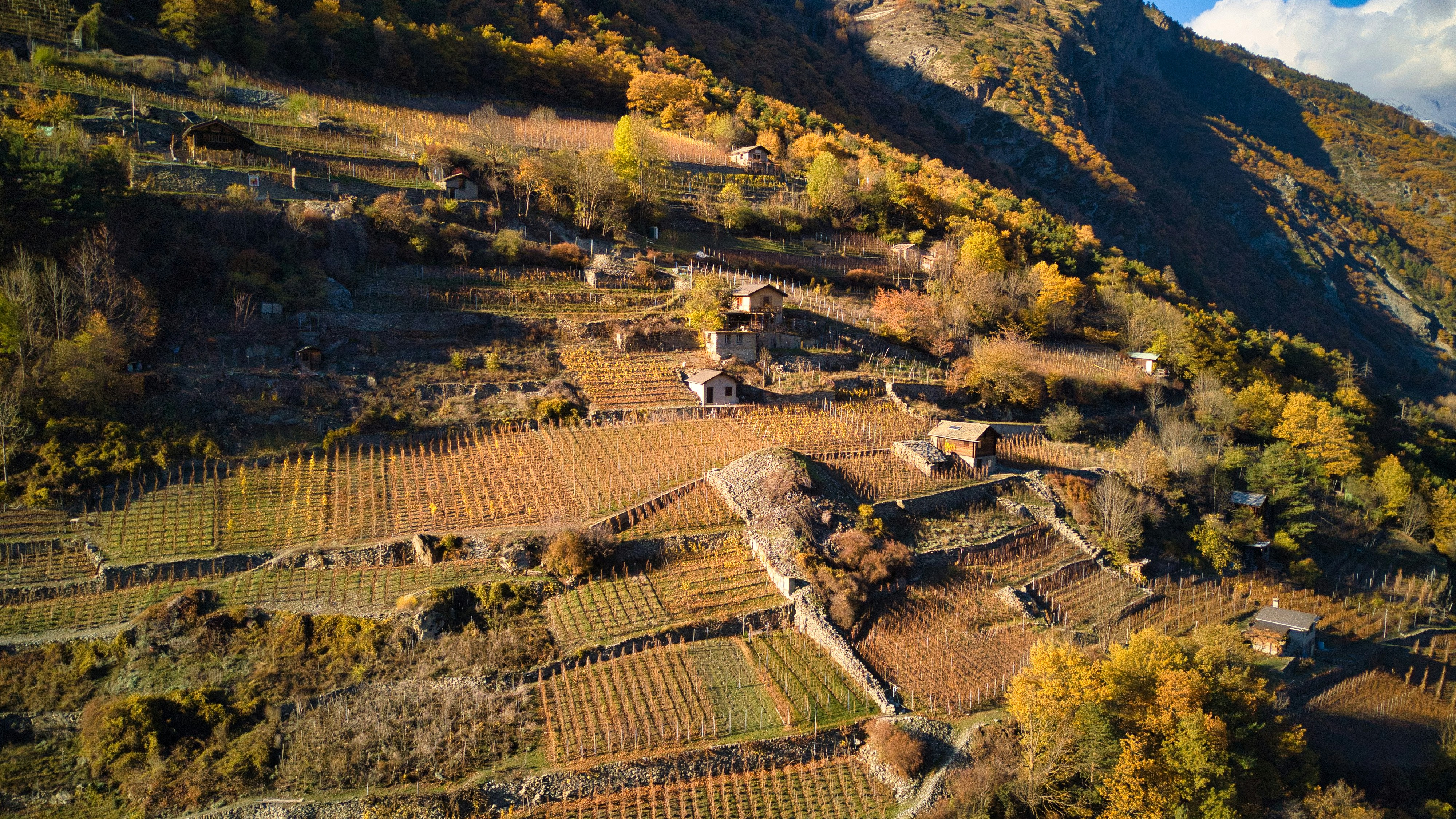 Photo by misterjackdaniel