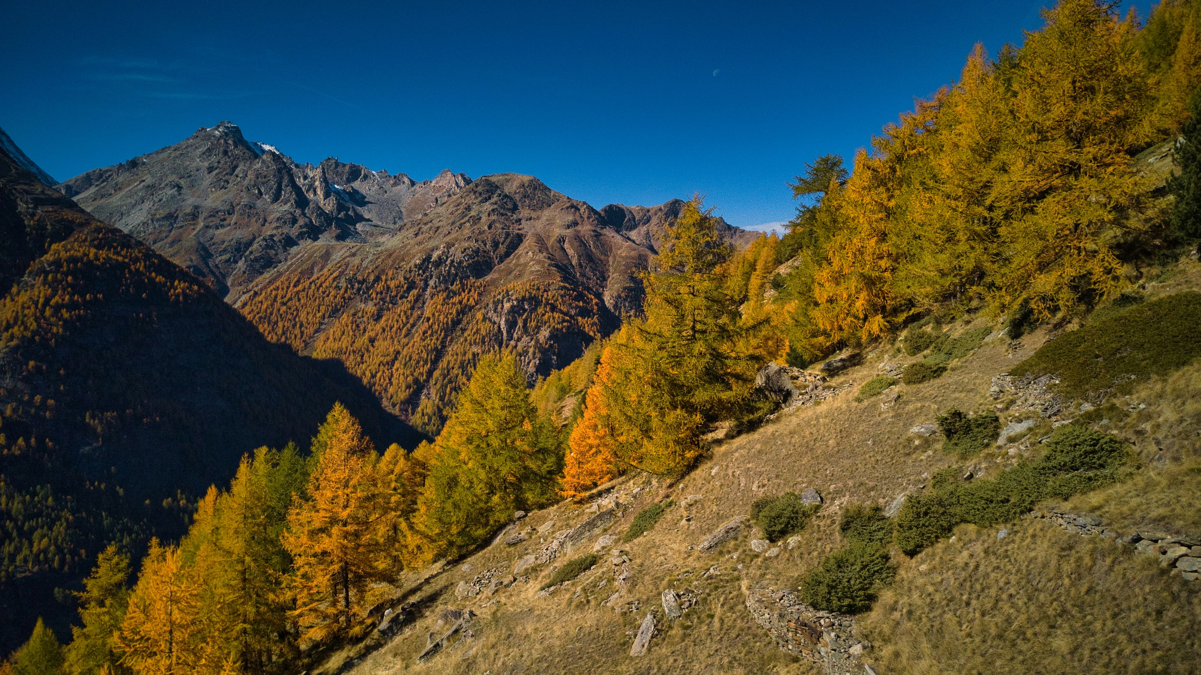 Photo by misterjackdaniel