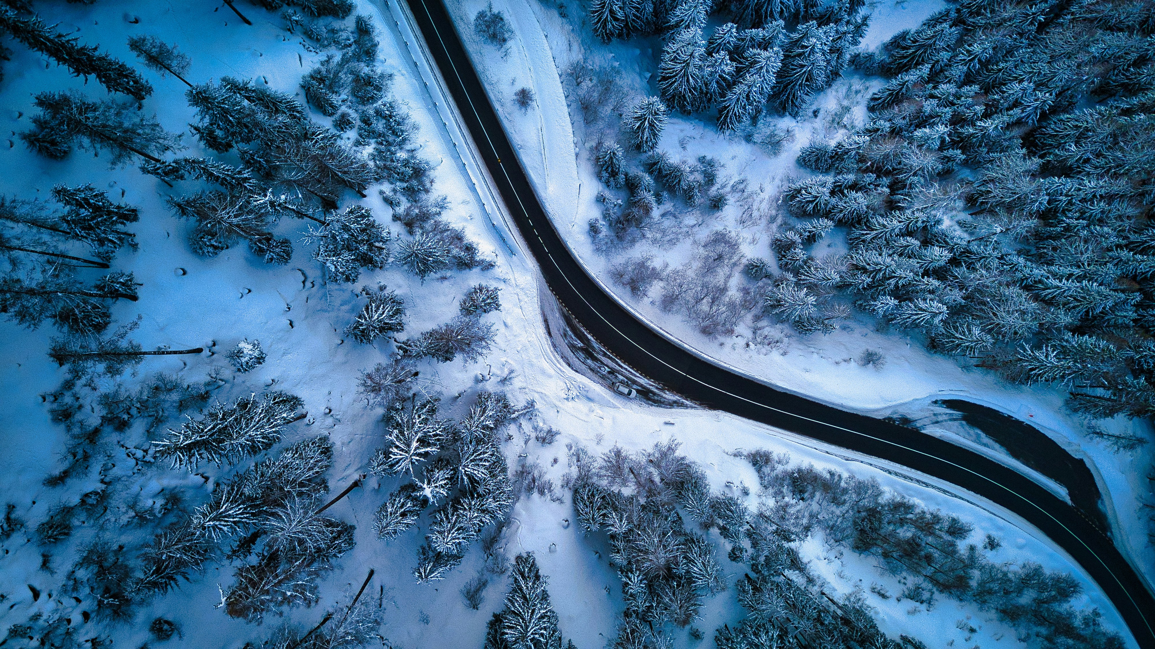 Photo by misterjackdaniel