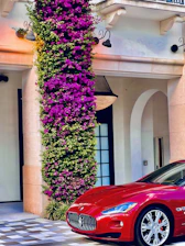 A vertical dark green column showcasing VIP styling and care with a modern luxury button.