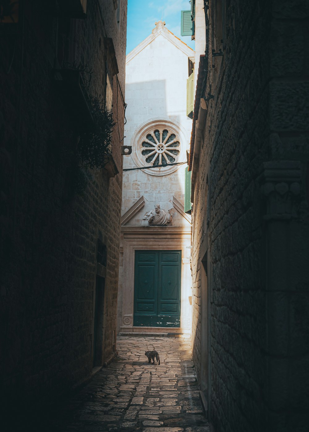 a cat walking down a narrow alley way