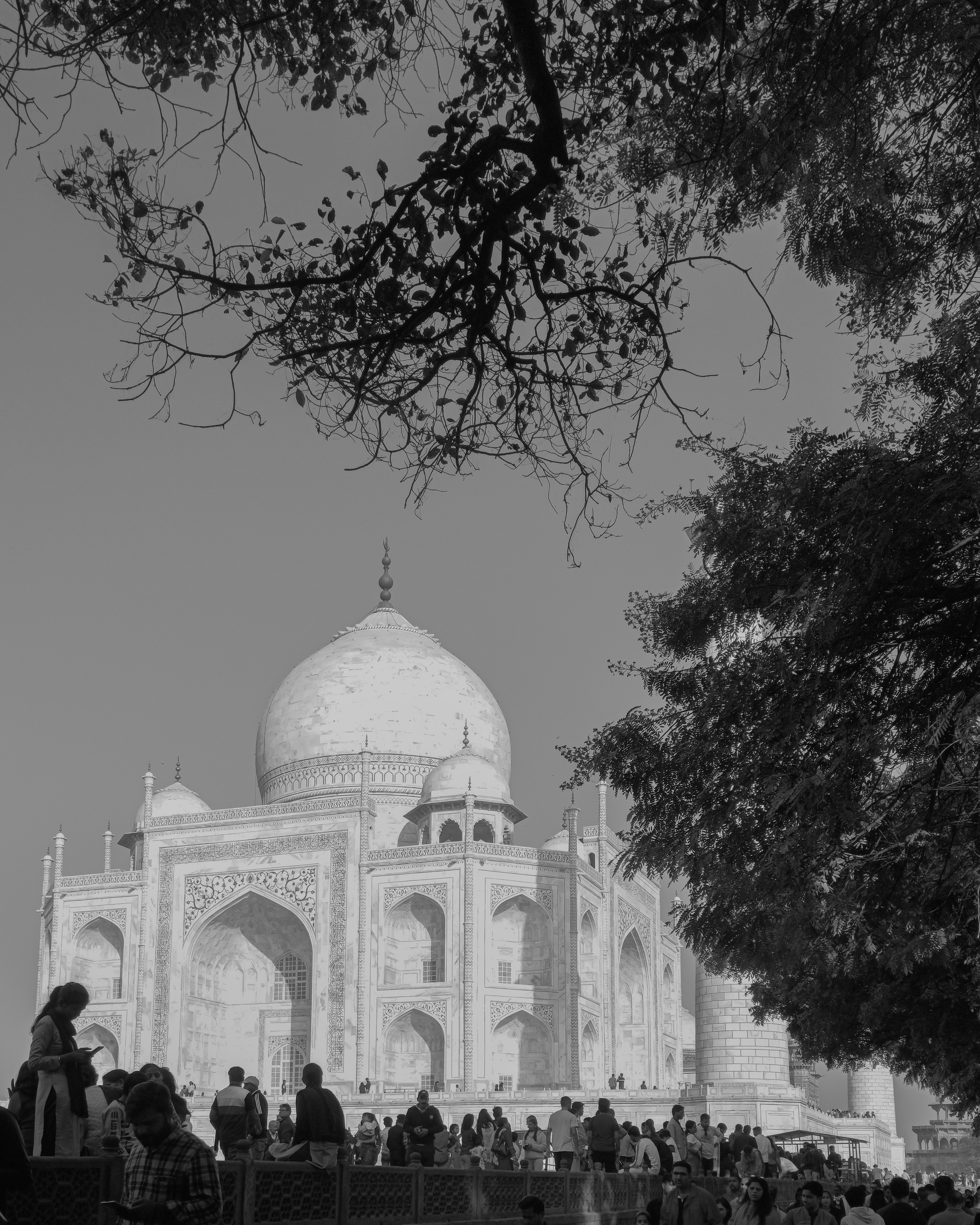 Photo by snapsbyshivansh