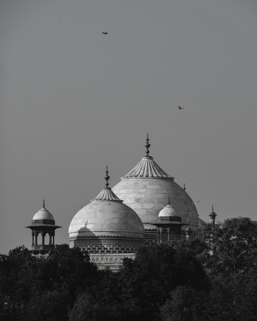 a black and white photo of a large building