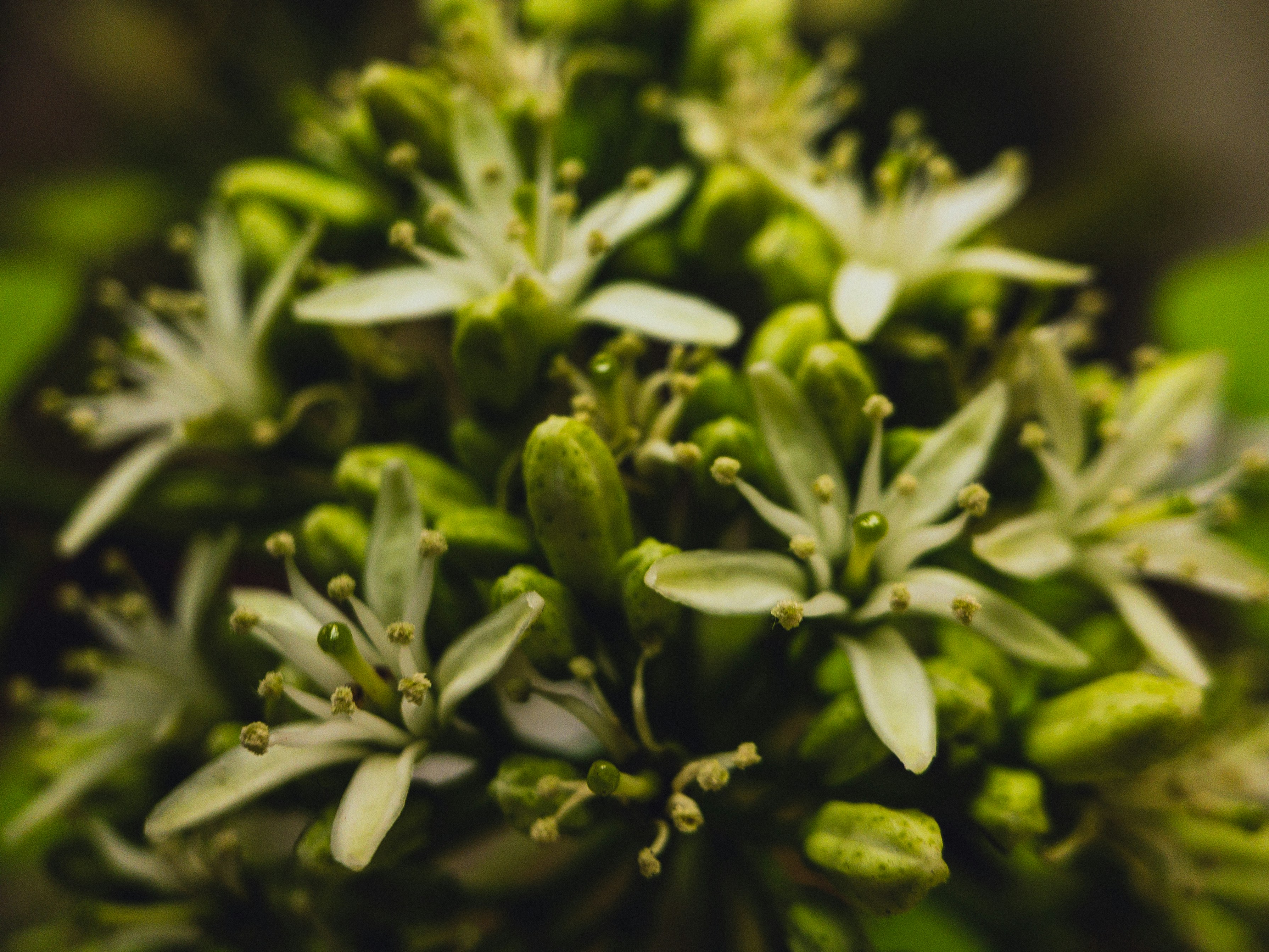 Photo by amritanshdubey