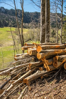 A pile of freshly cut logs is situated on a forested hillside, with a background of distant green fields and a forested mountain range. The trees are bare, suggesting it might be early spring or late fall.