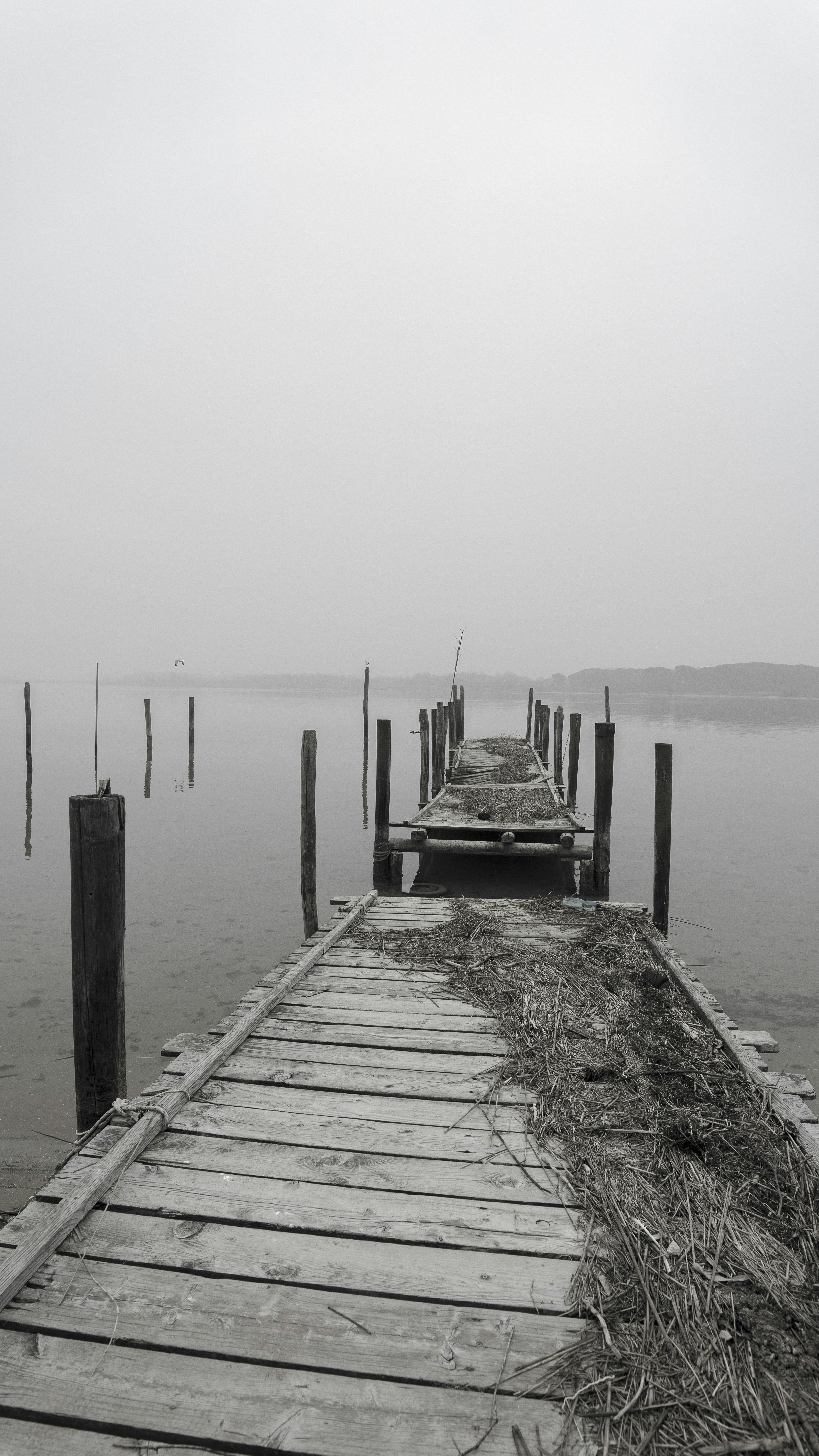 Photo by gopitri_prem