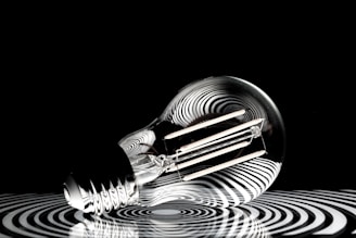 a black and white photo of a light bulb