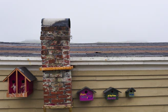 Community members building birdhouses for local wildlife.