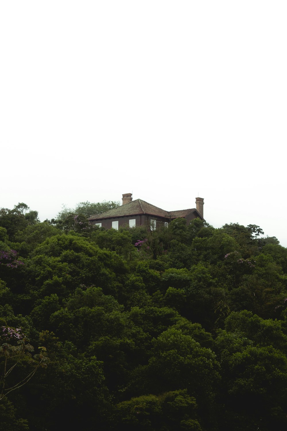 a house sitting on top of a lush green hillside