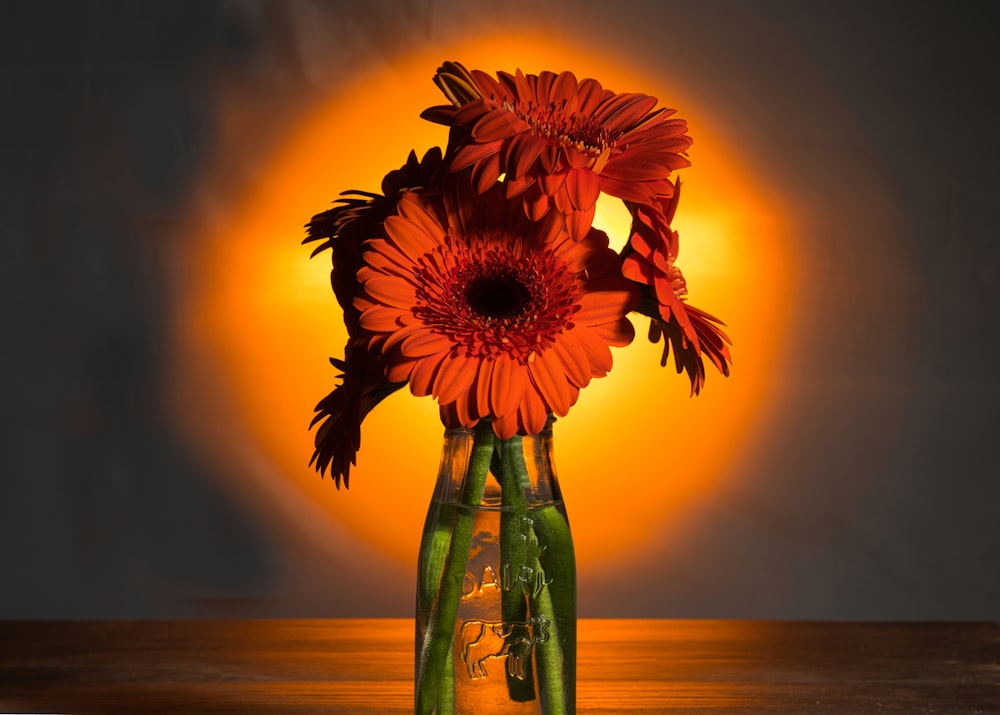 a vase filled with red flowers on top of a wooden table