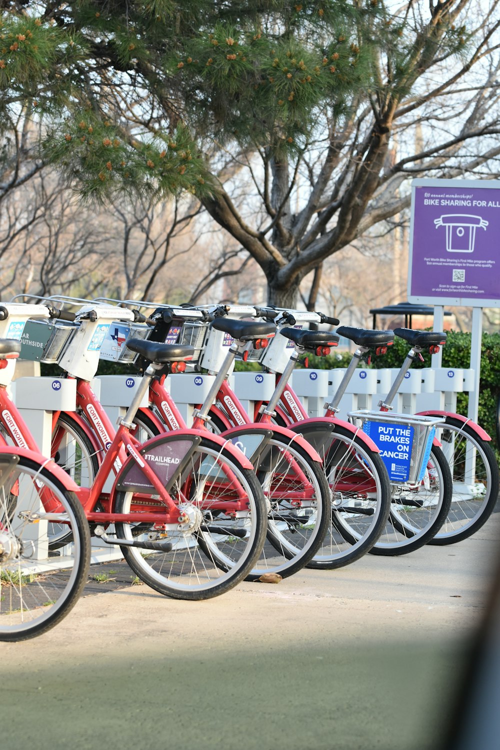 a row of red bikes parked next to each other