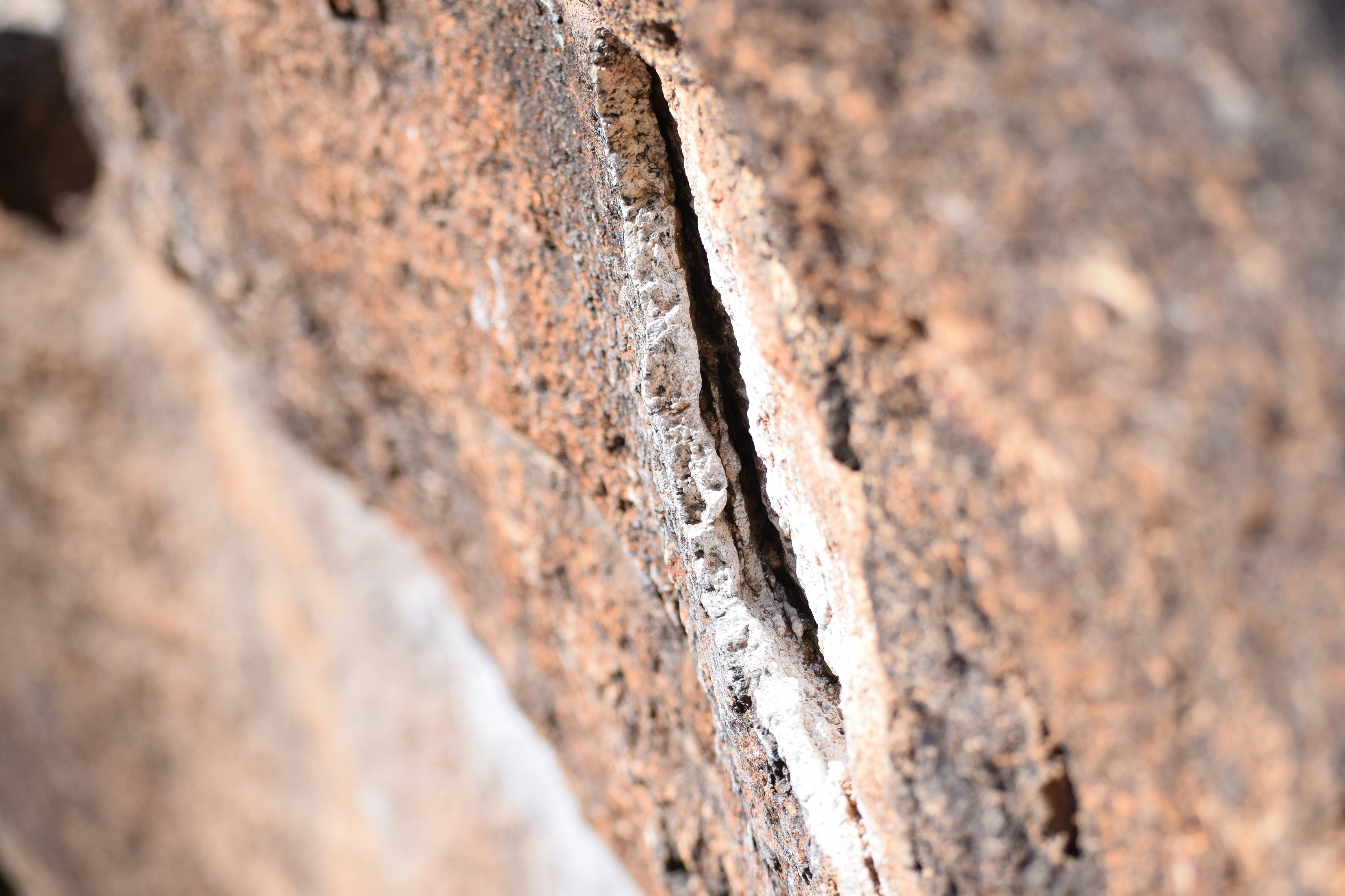 Photo by cowilderness