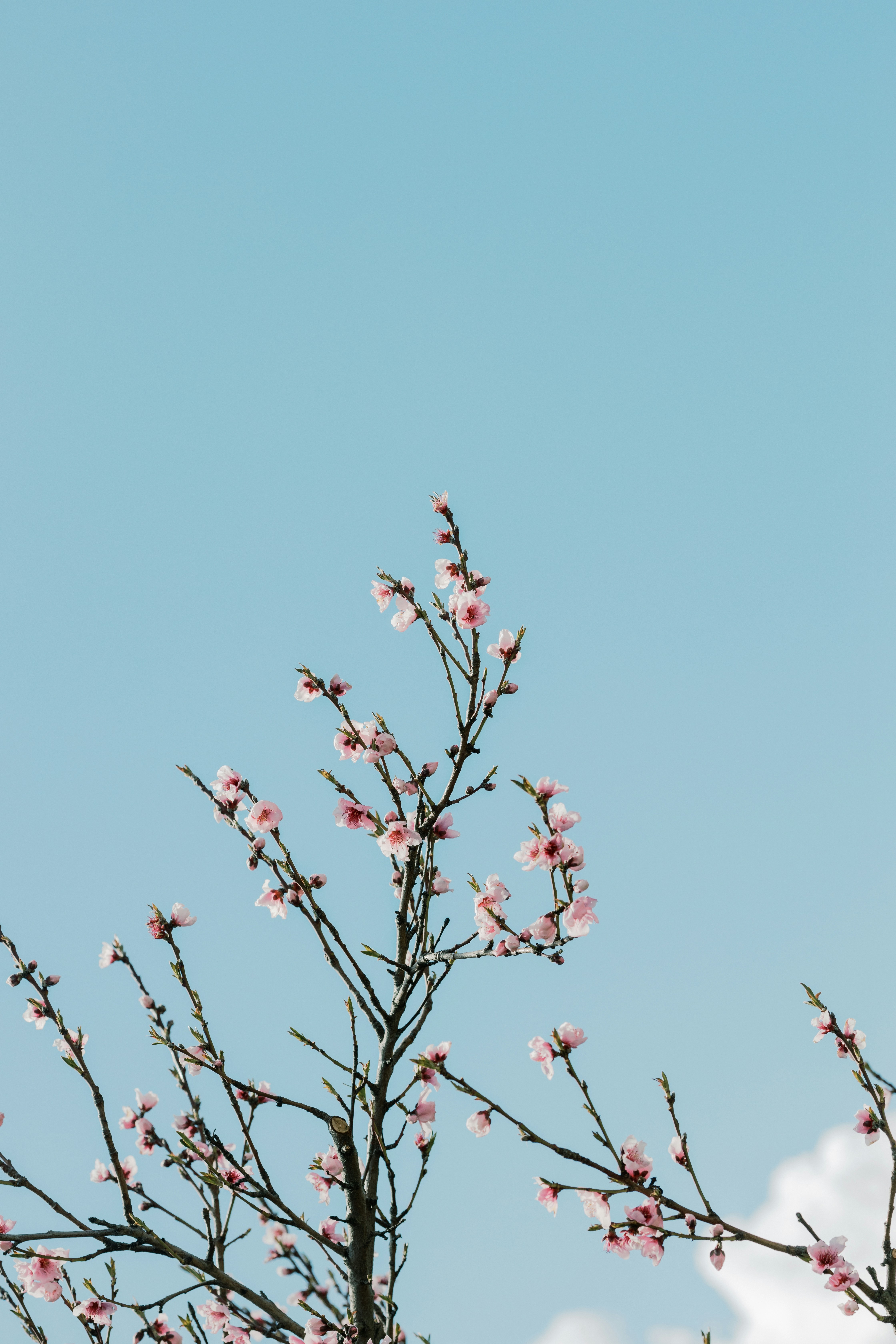 Photo by caleb_woods