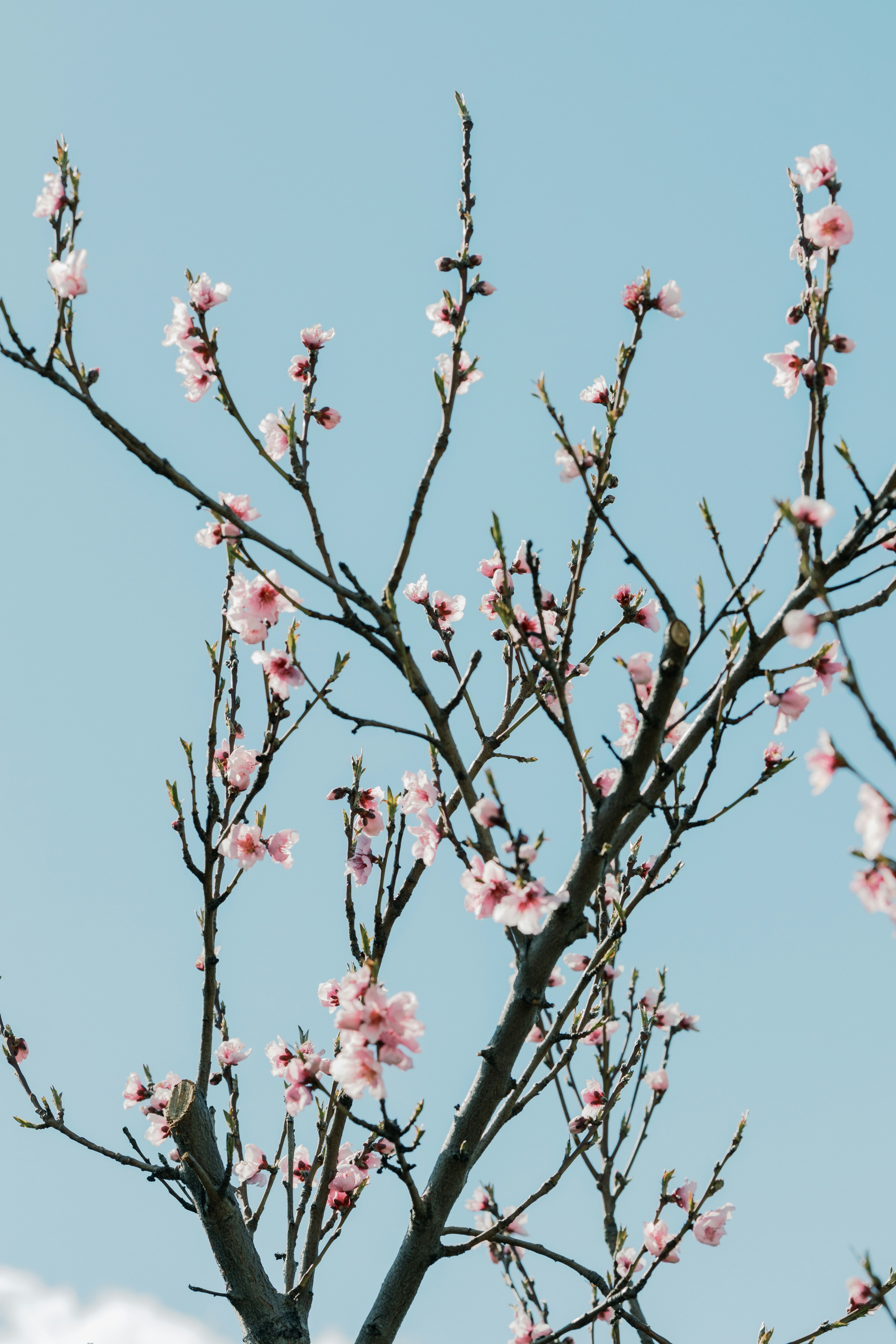 Photo by caleb_woods