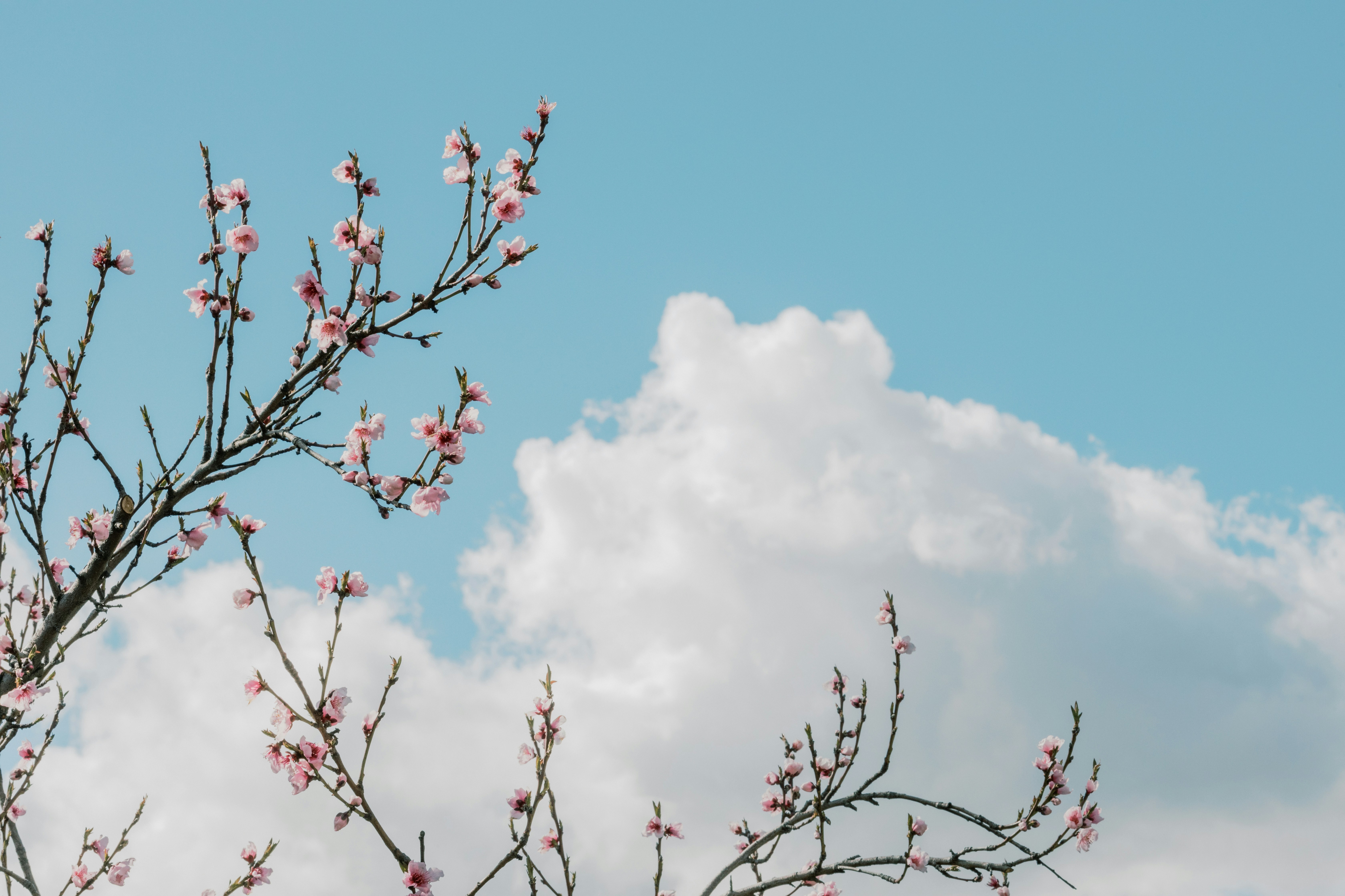 Photo by caleb_woods