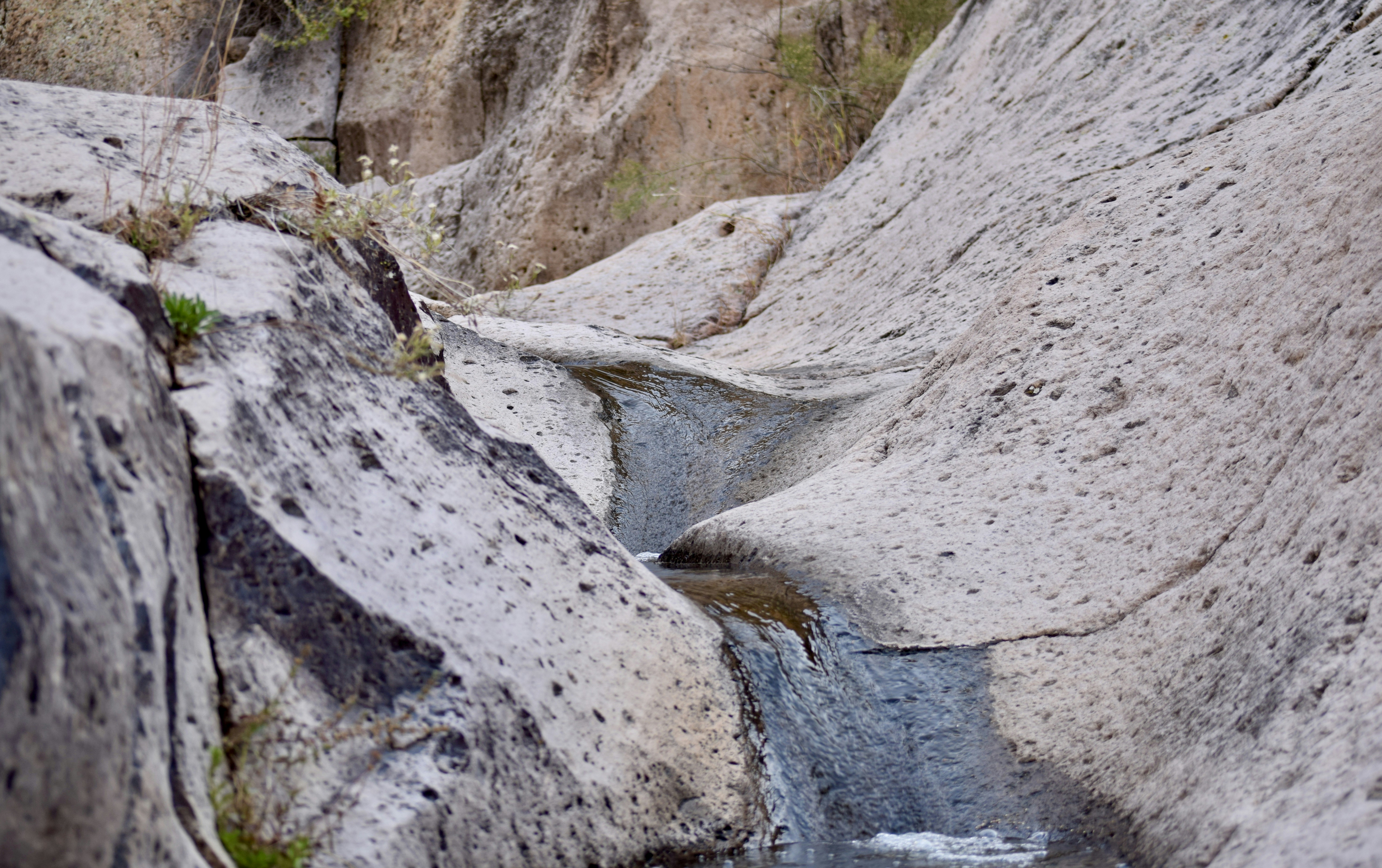 Photo by cowilderness