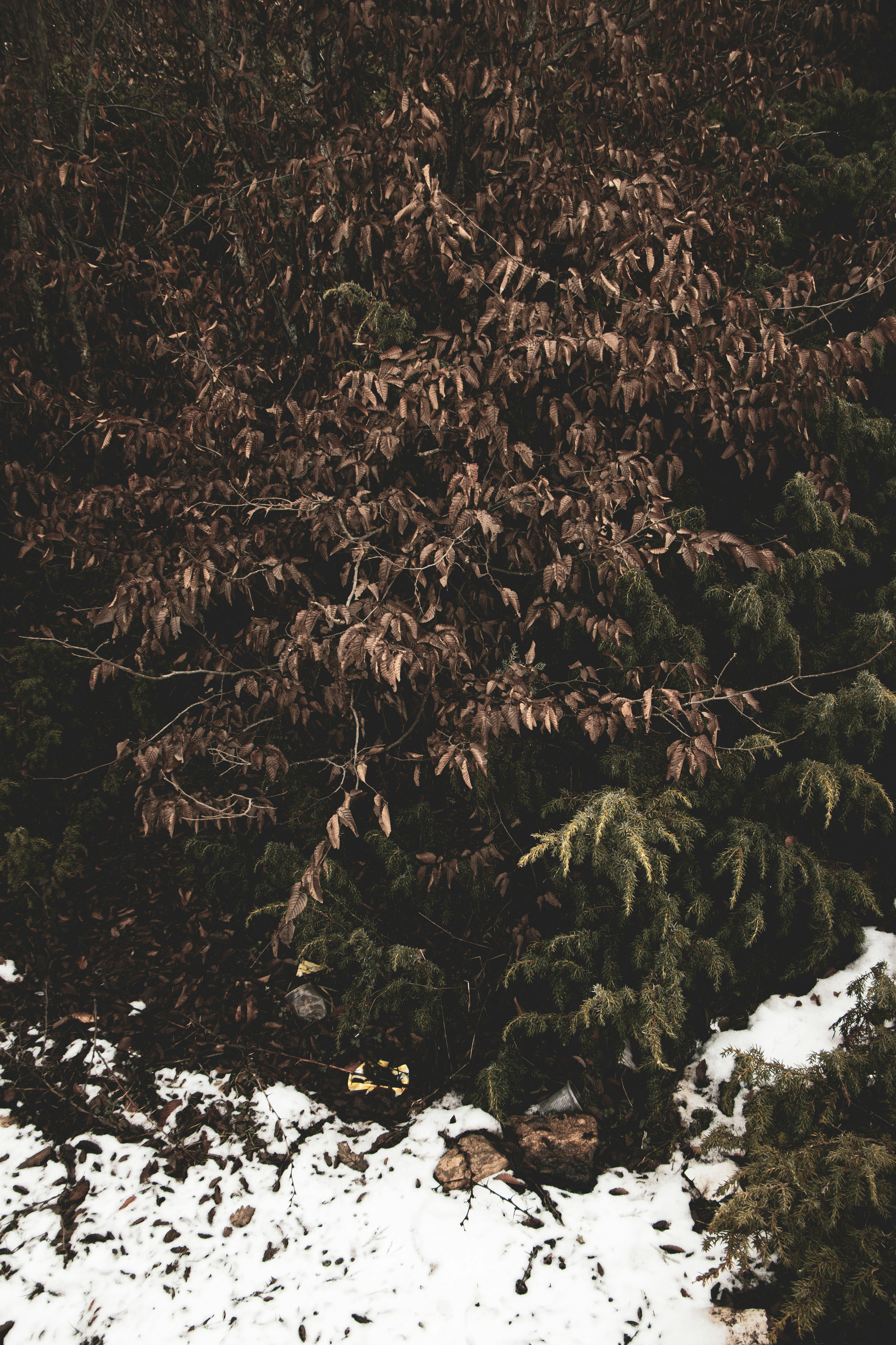 Photo by mahdibafande