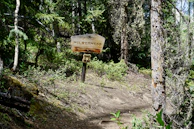 A weathered wooden sign marking the entrance to the Crews Hole Road woodland initiative.