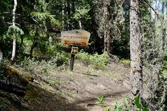 A weathered wooden sign marking the entrance to the Crews Hole Road woodland initiative.