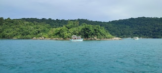 A small boat anchored near a lush green island with snorkelers exploring colorful coral reefs.