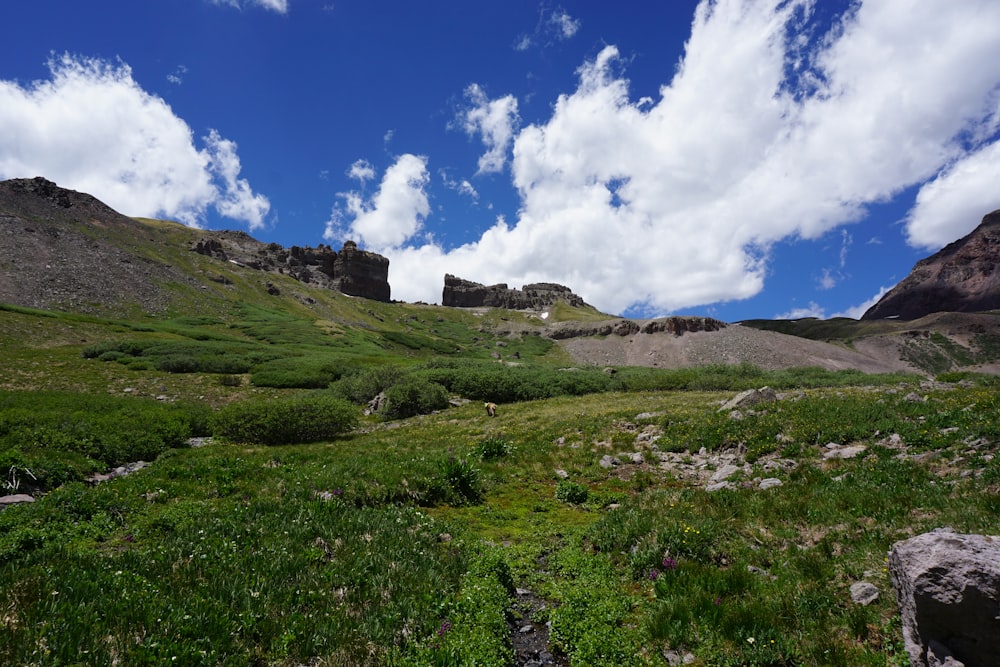 a grassy field with a mountain in the background