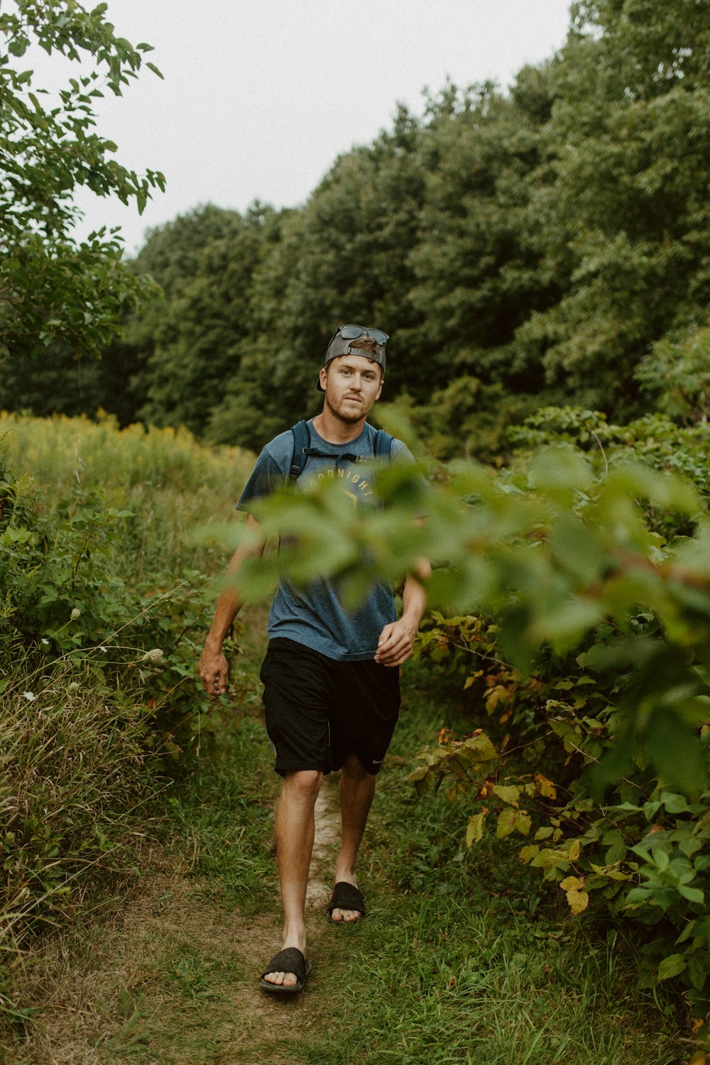 a man walking through a lush green forest