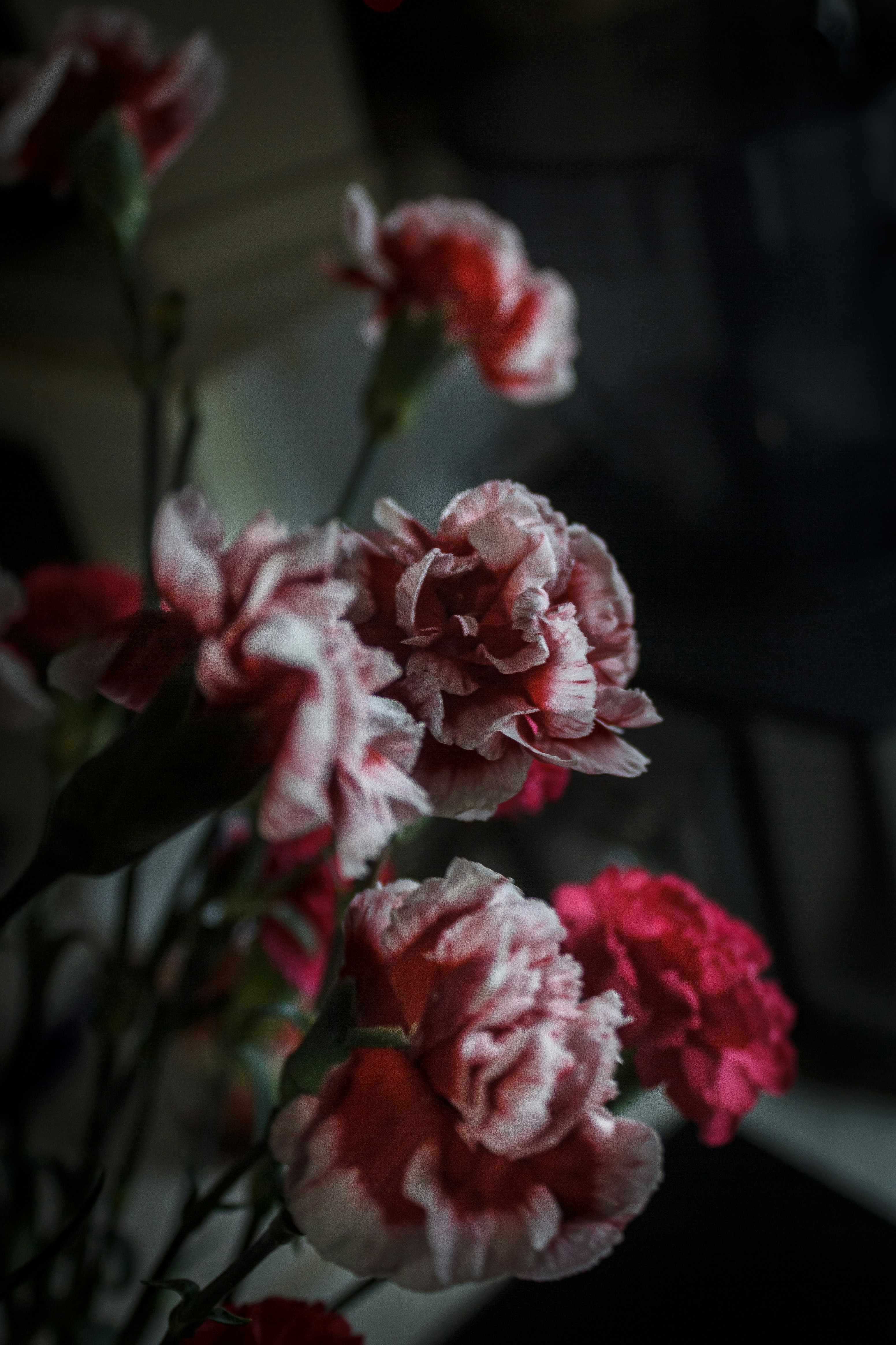 Photo by svitlana_rusak