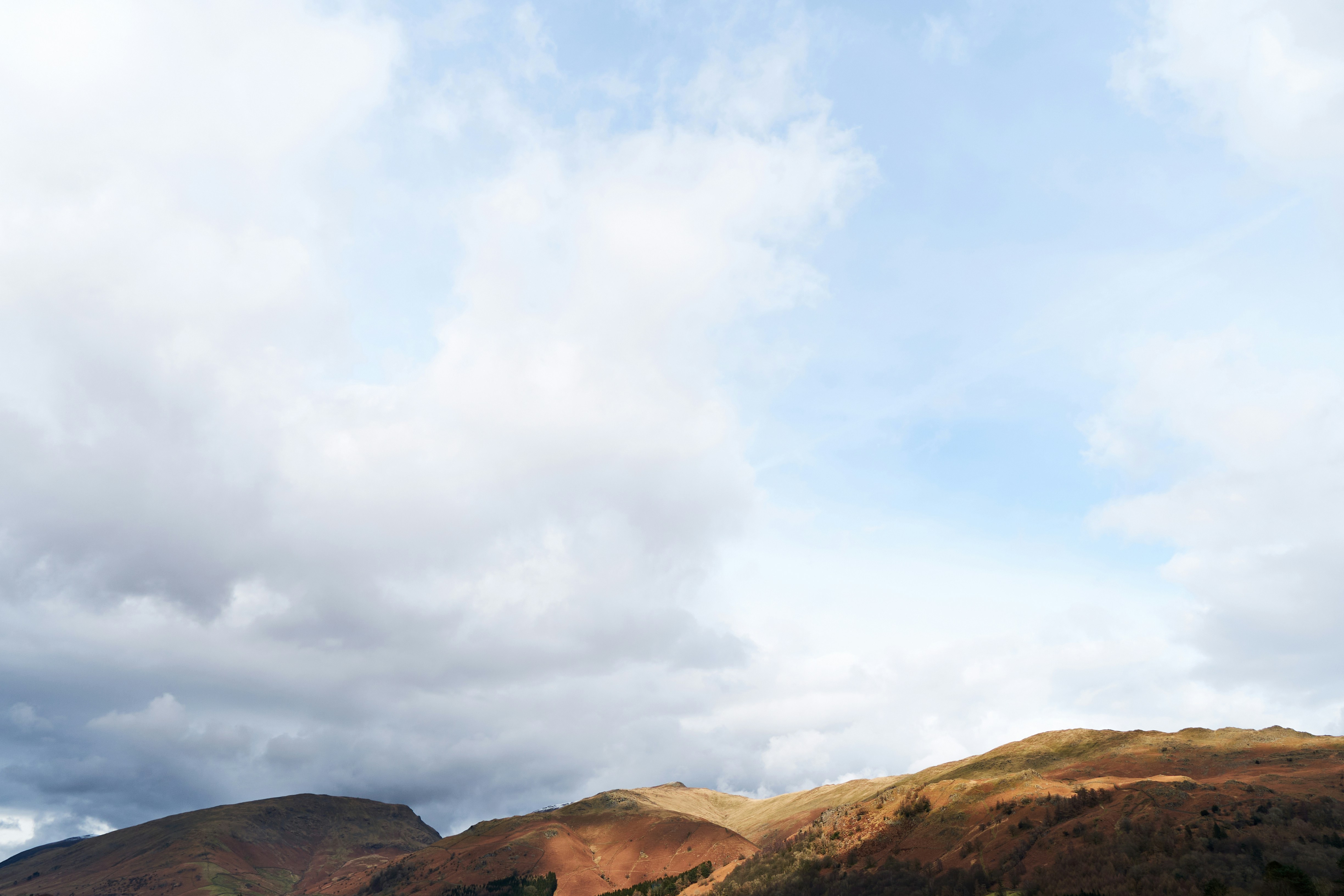 Photo by frostroomhead