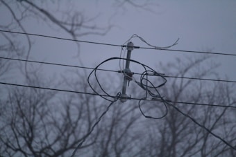 Several utility wires are intersected and connected by a metal fixture against a backdrop of silhouetted bare tree branches, under a dimly lit sky.