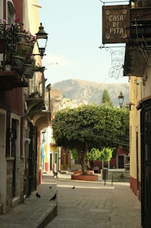 A narrow cobblestone street flanked by colorful buildings with flower-adorned balconies. A large leafy tree is prominently positioned in the center of the street, with mountains visible in the background. Several street lamps and birds add to the atmosphere, along with a hanging sign reading 'Casa de Pita.'