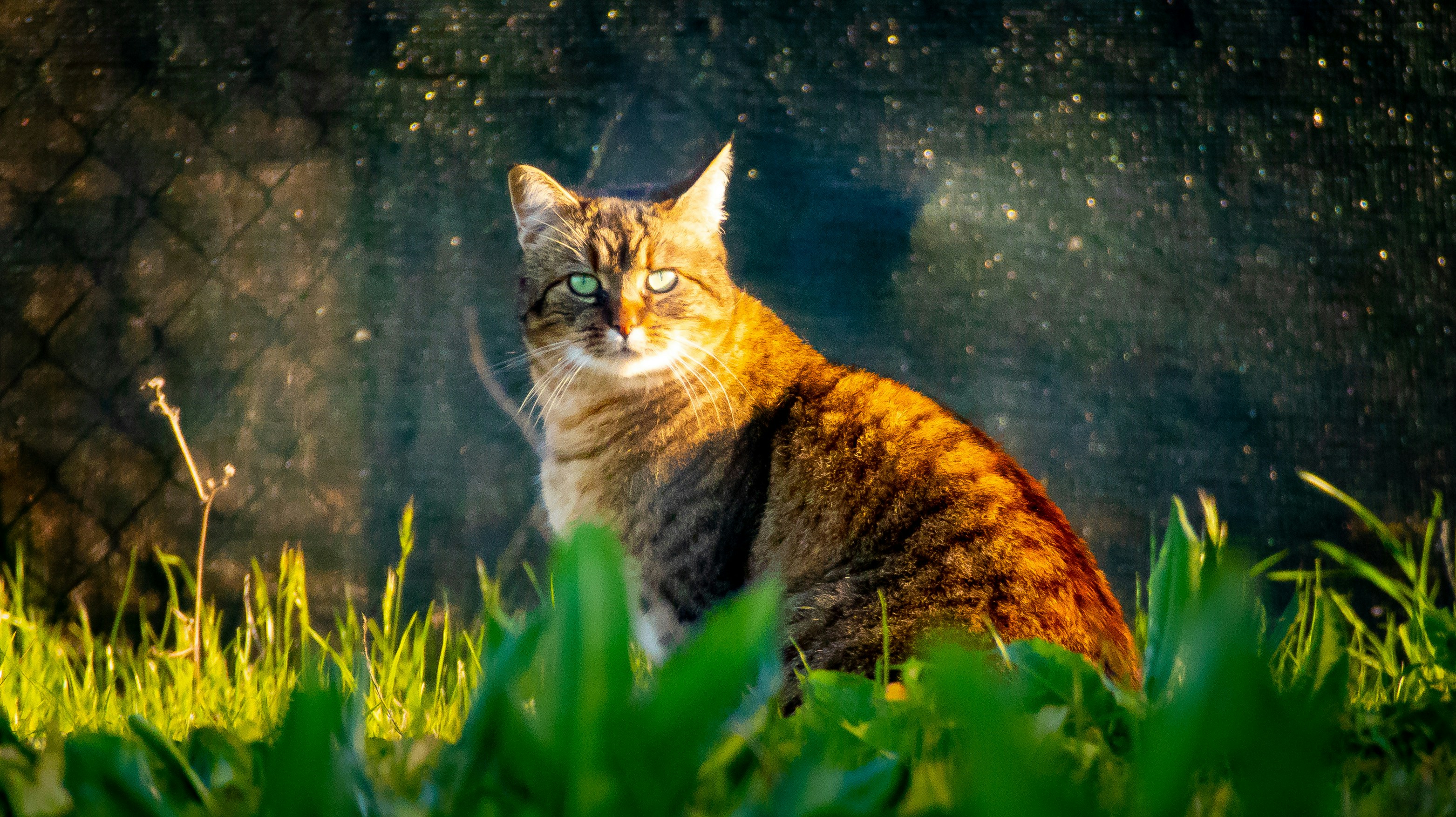 Photo by createelement27