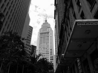 A black and white urban scene featuring tall buildings arranged closely together, creating a canyon-like effect. The central structure is a prominent skyscraper with a spire, surrounded by other high-rise buildings on both sides. A few trees and a streetlamp are visible at street level.