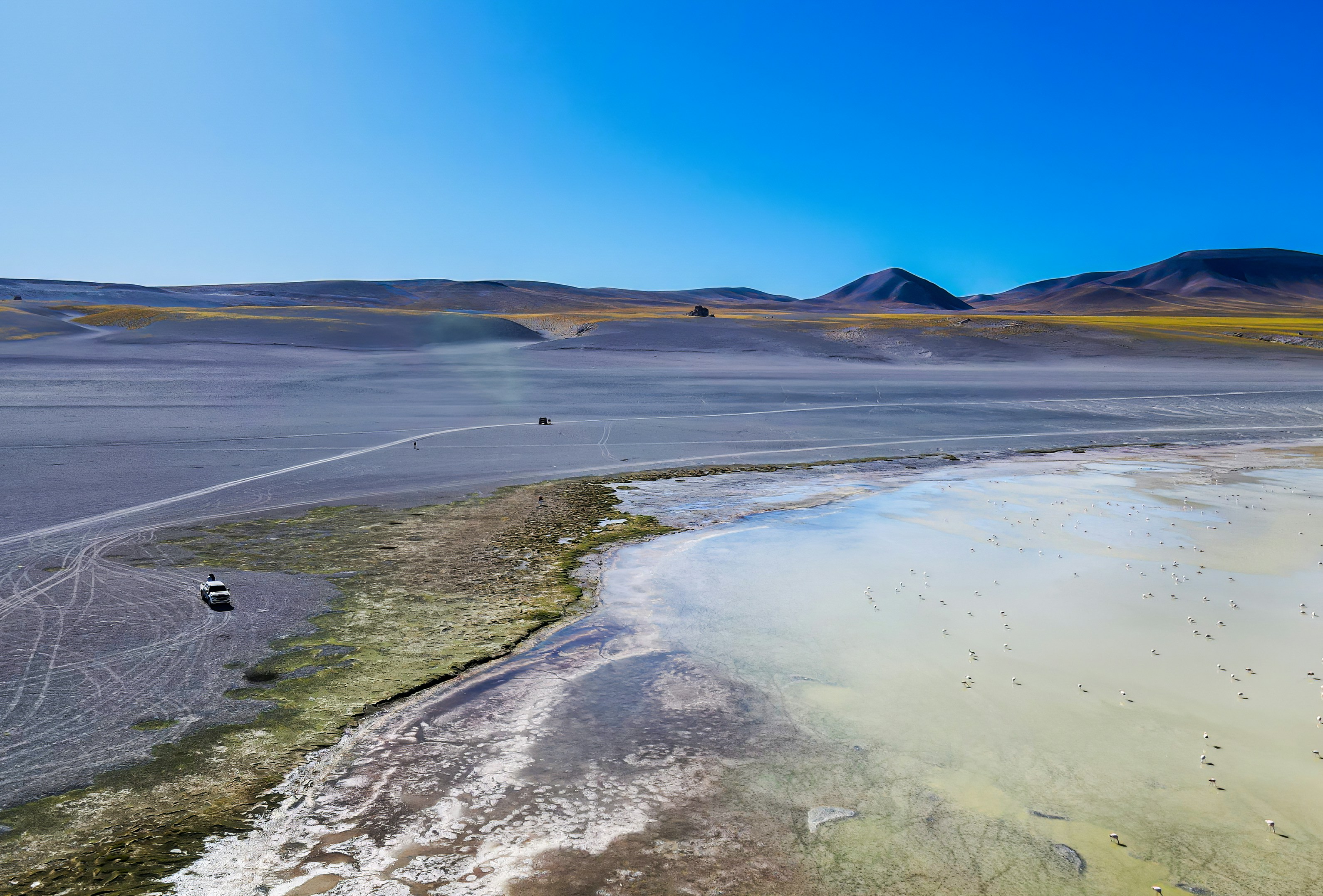 Photo by argentinanatural