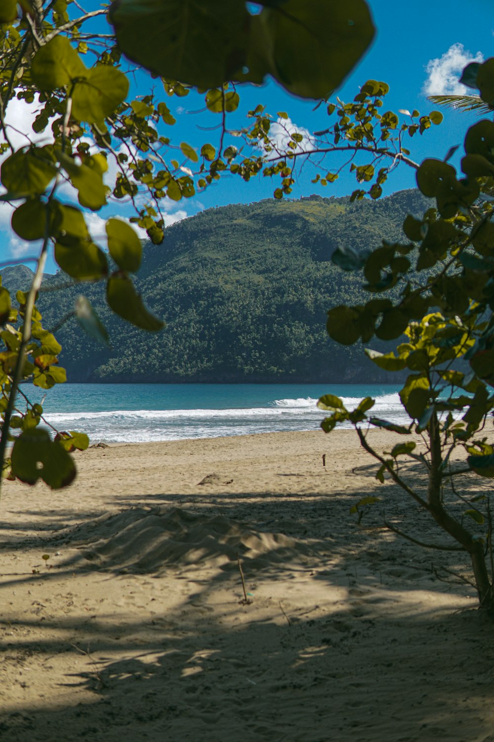 a view of a beach through some trees