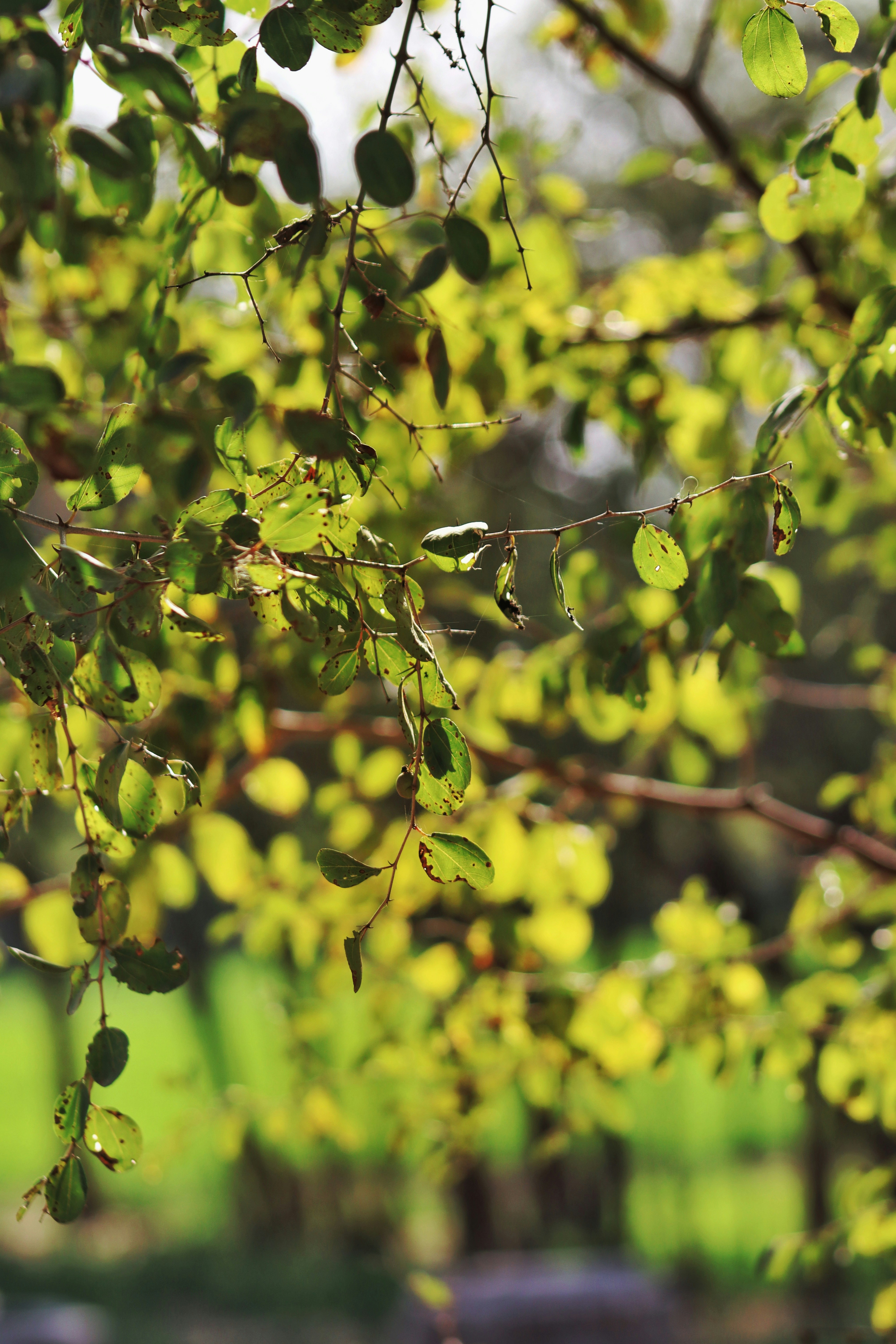 Photo by drphotographer152