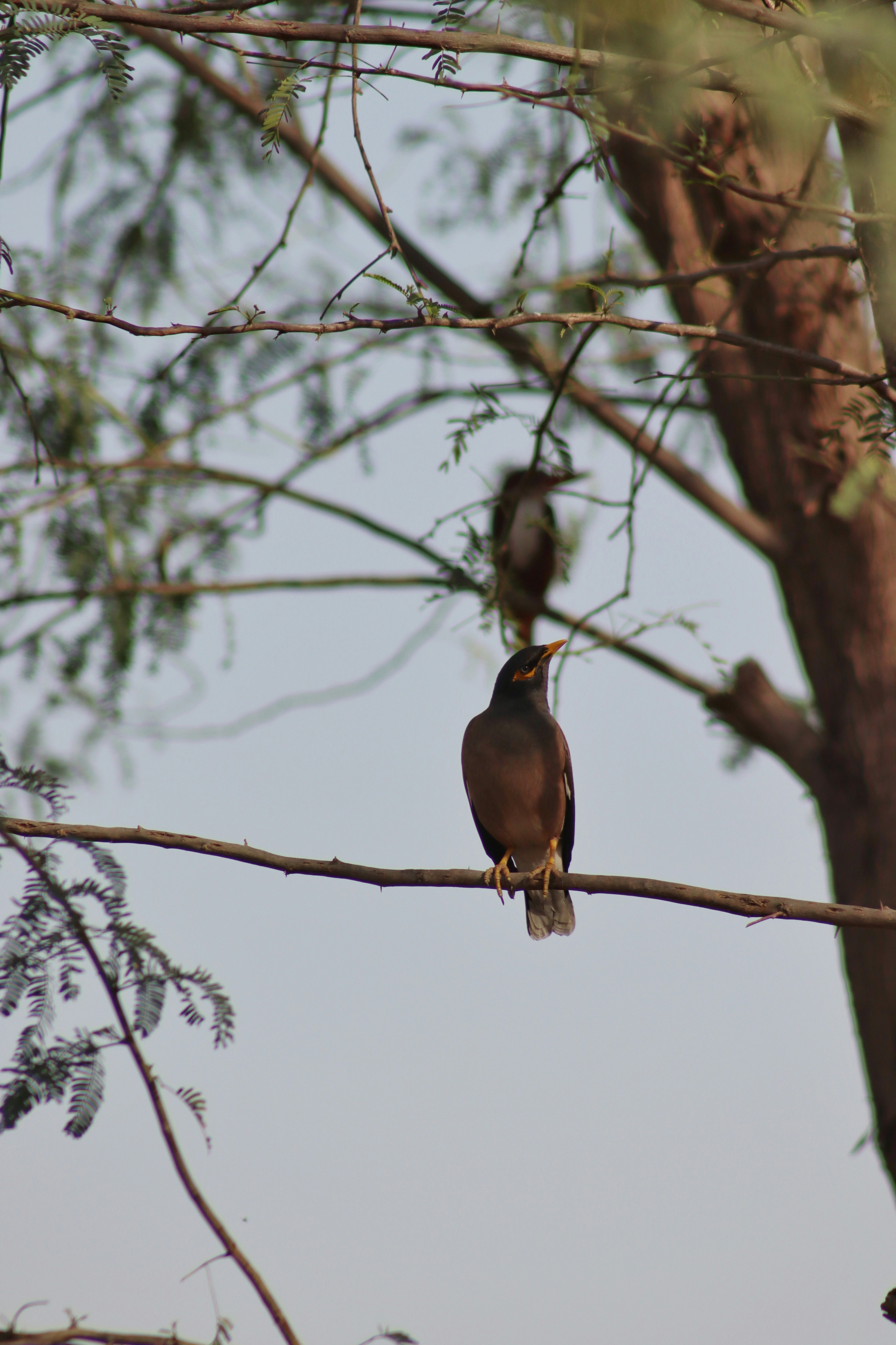 Photo by drphotographer152