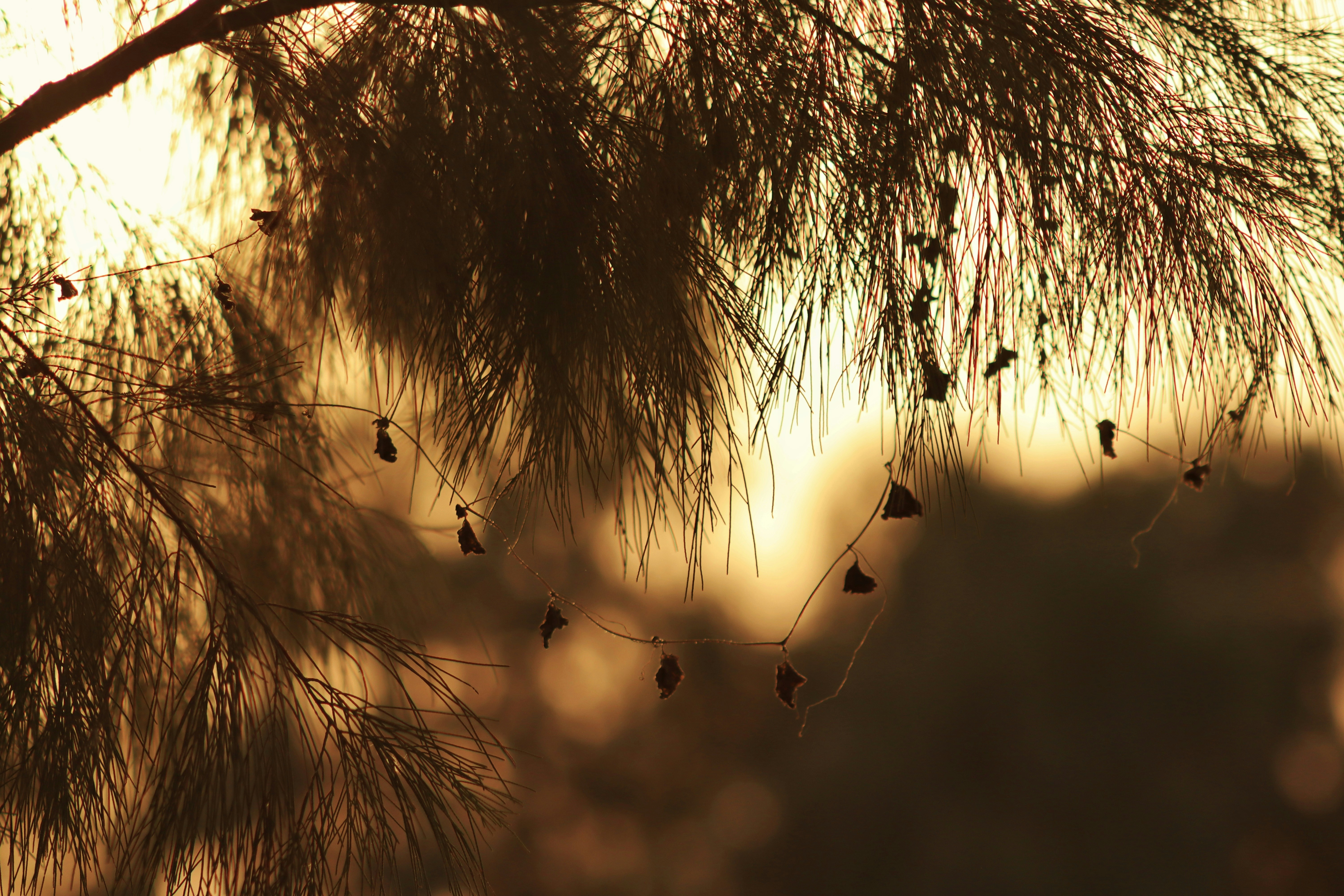 Photo by drphotographer152