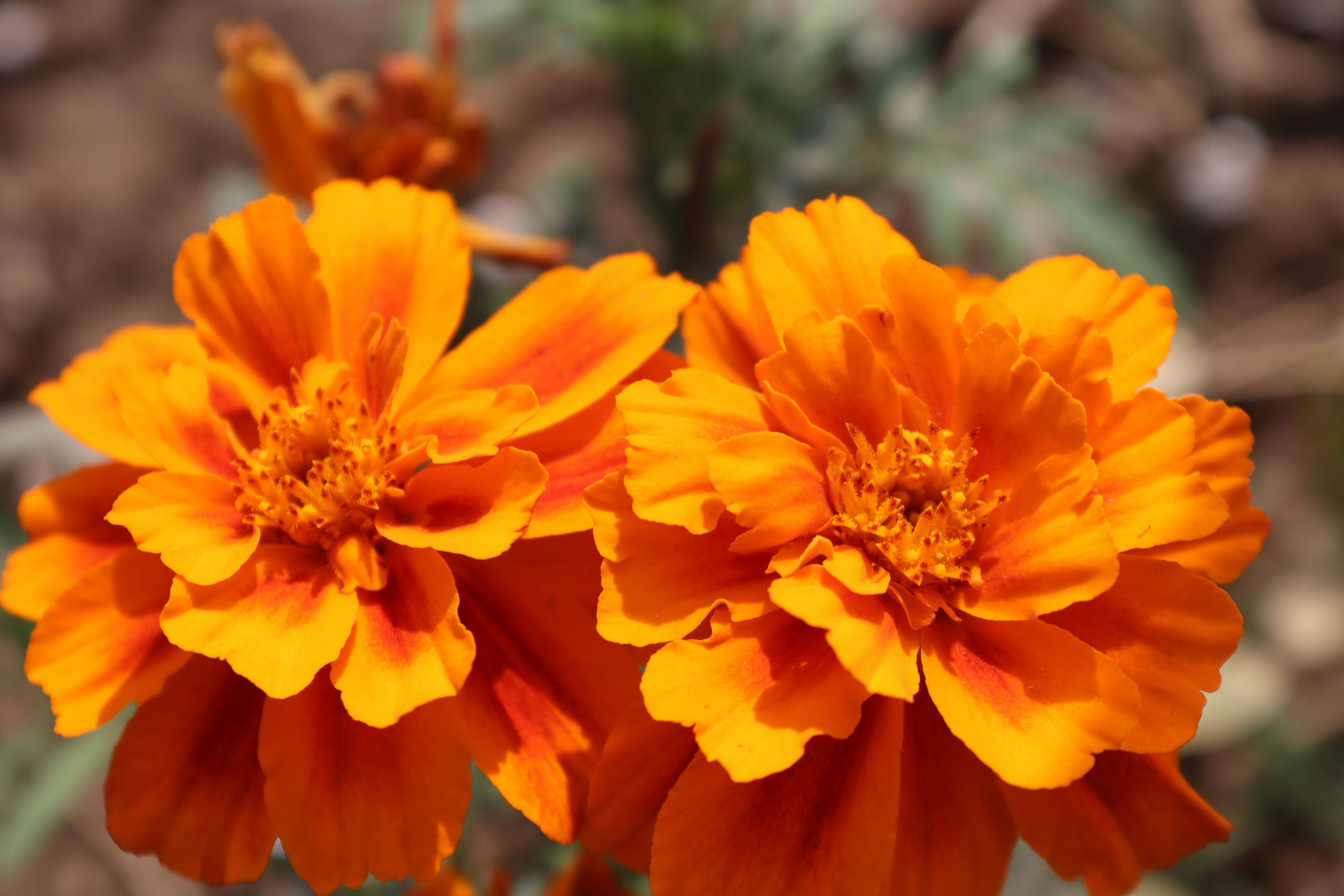 Photo by drphotographer152